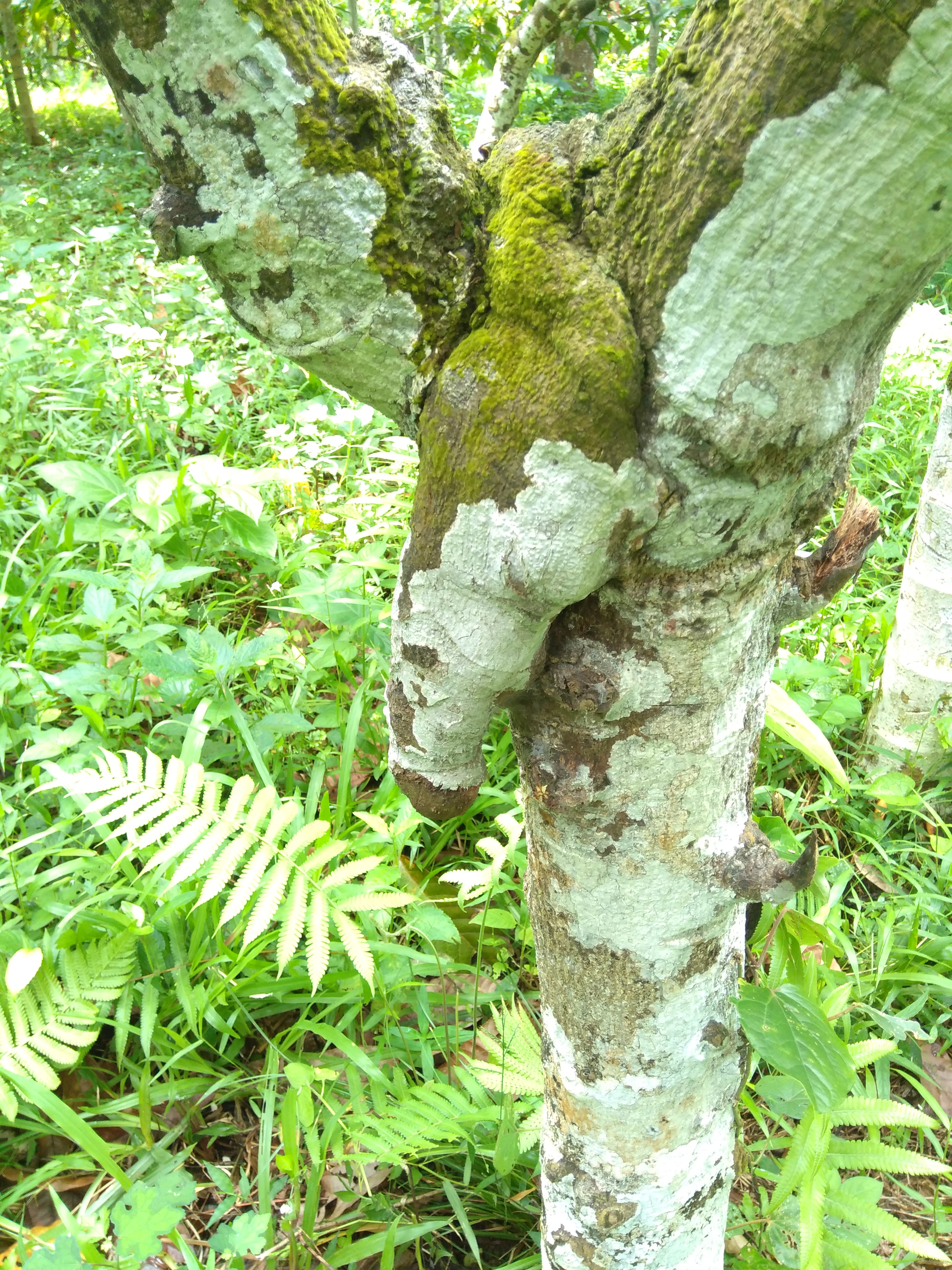 P_20221028_113932_vHDR_On.jpg