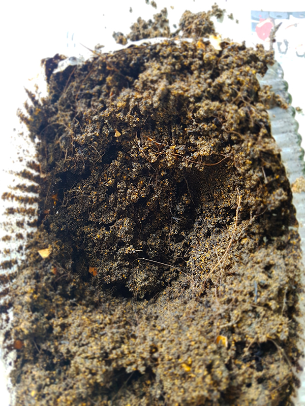 Usecompost07.jpg