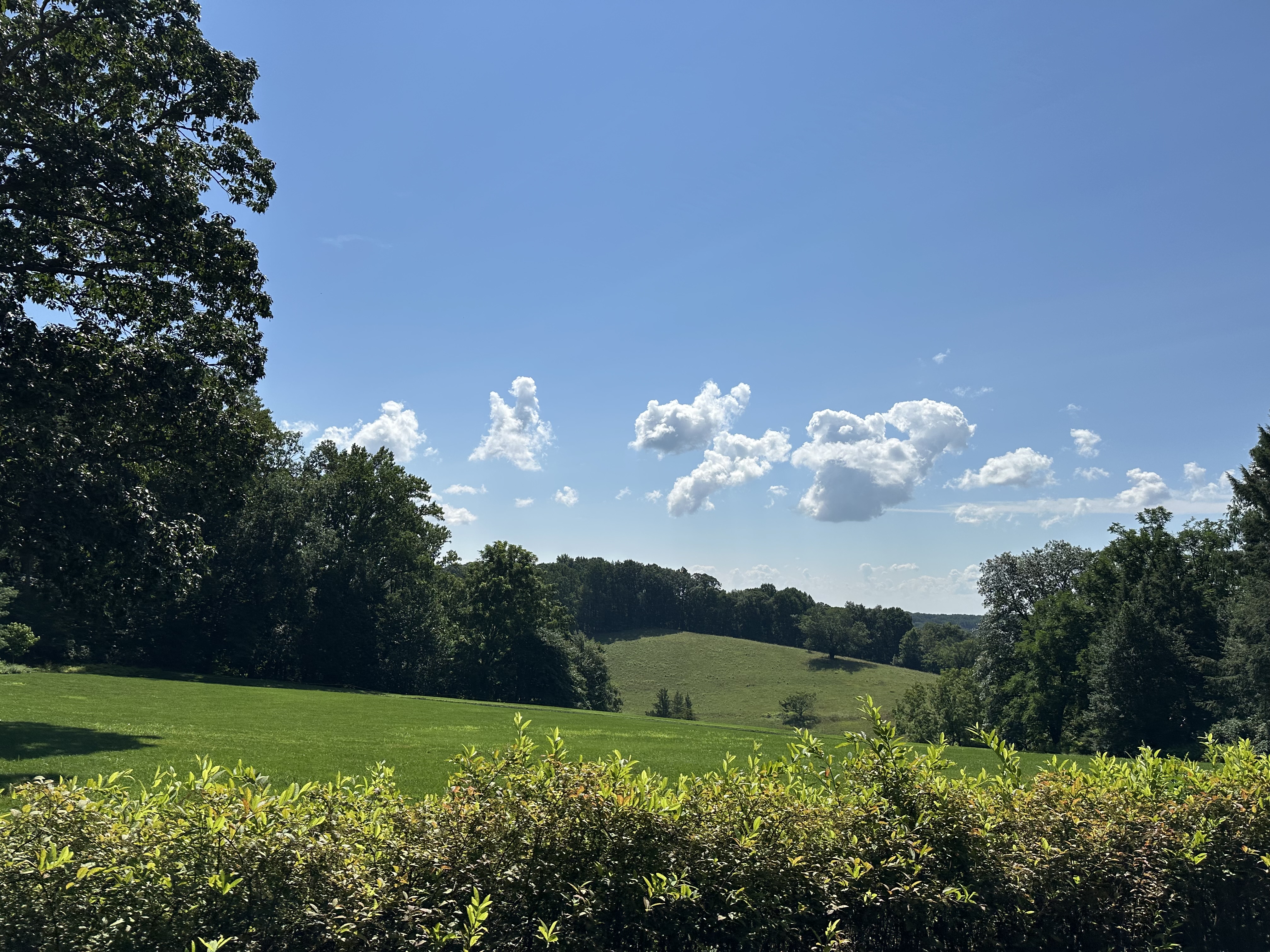 IMG_5563.jpeg