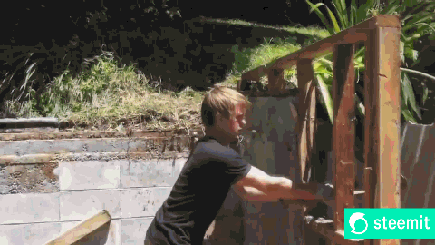919.gif