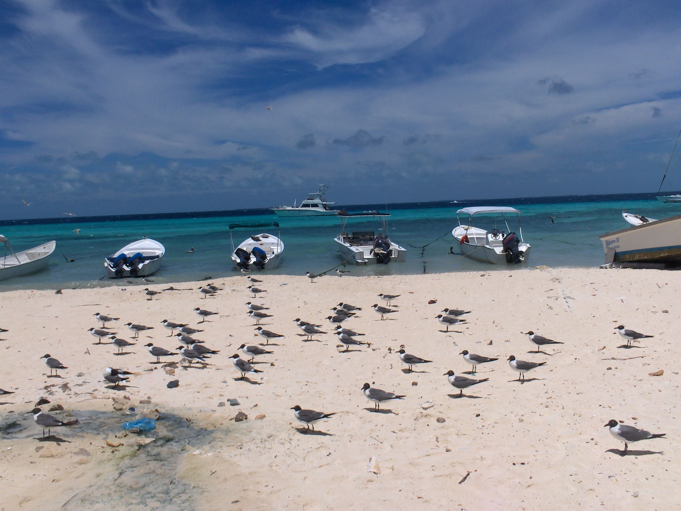 fotos los roques 006.jpg
