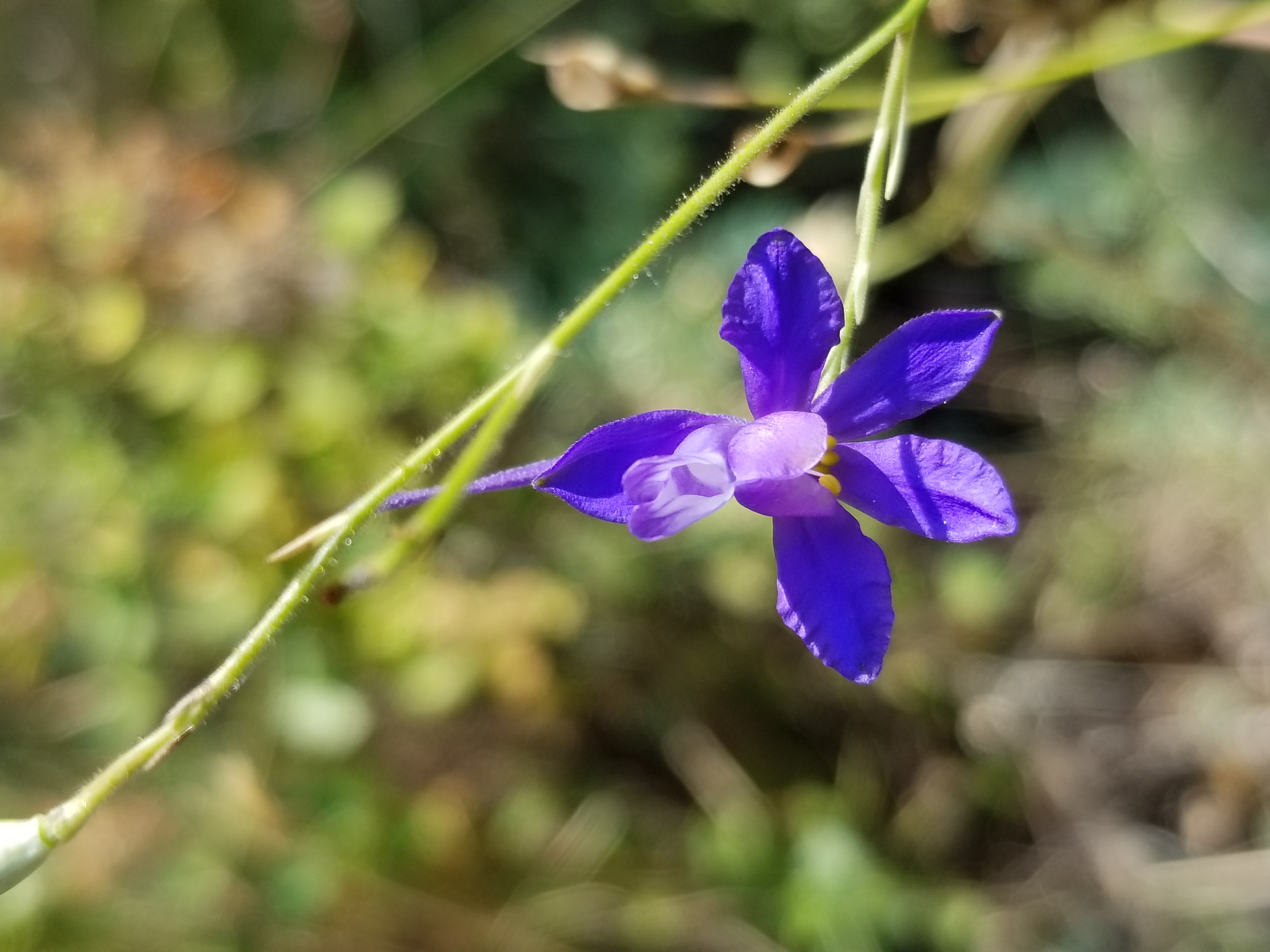20180818_105108.jpg