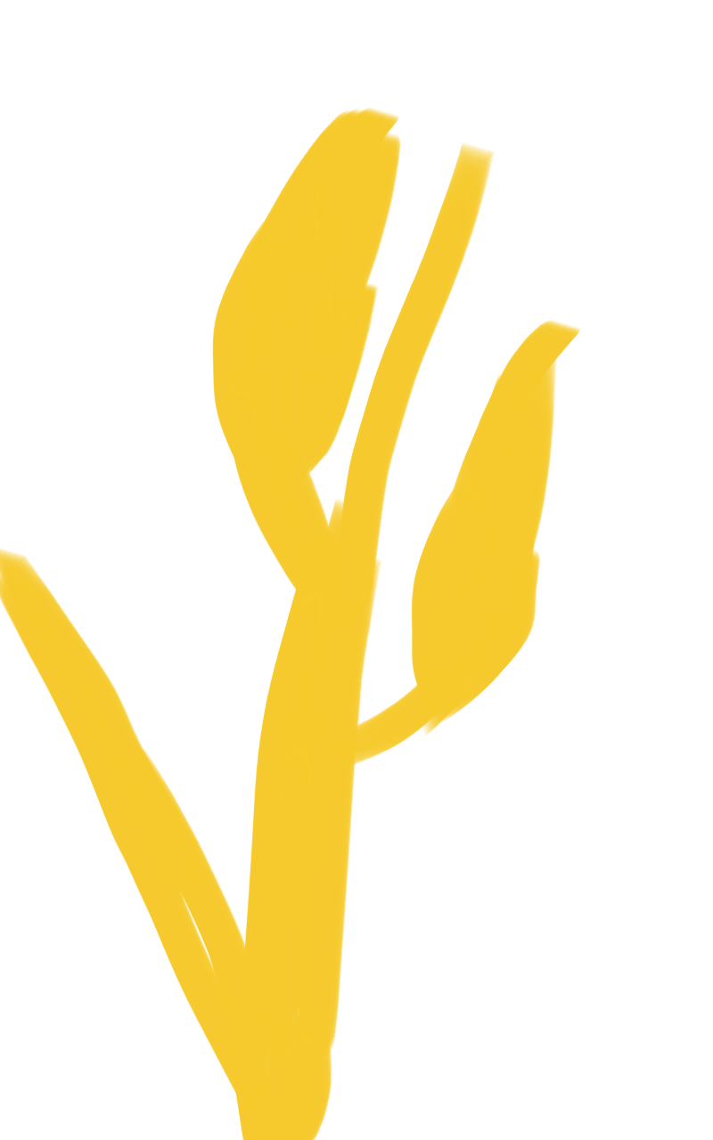 6b476271-b00d-4048-8646-b6757df6d769.png