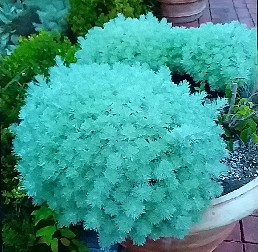 20200728_225619.jpg