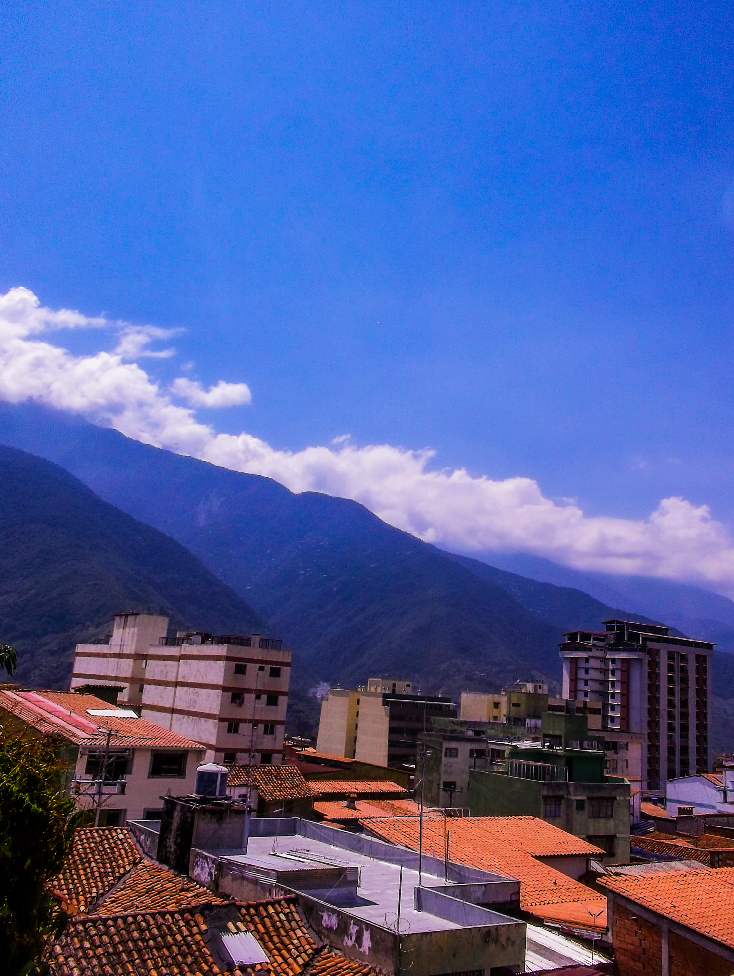 100_5329.jpg