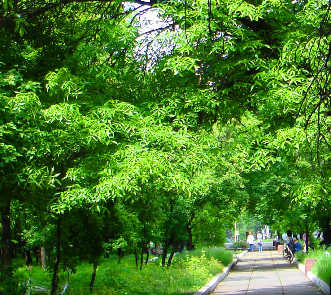 DSC02198-222222222.jpg