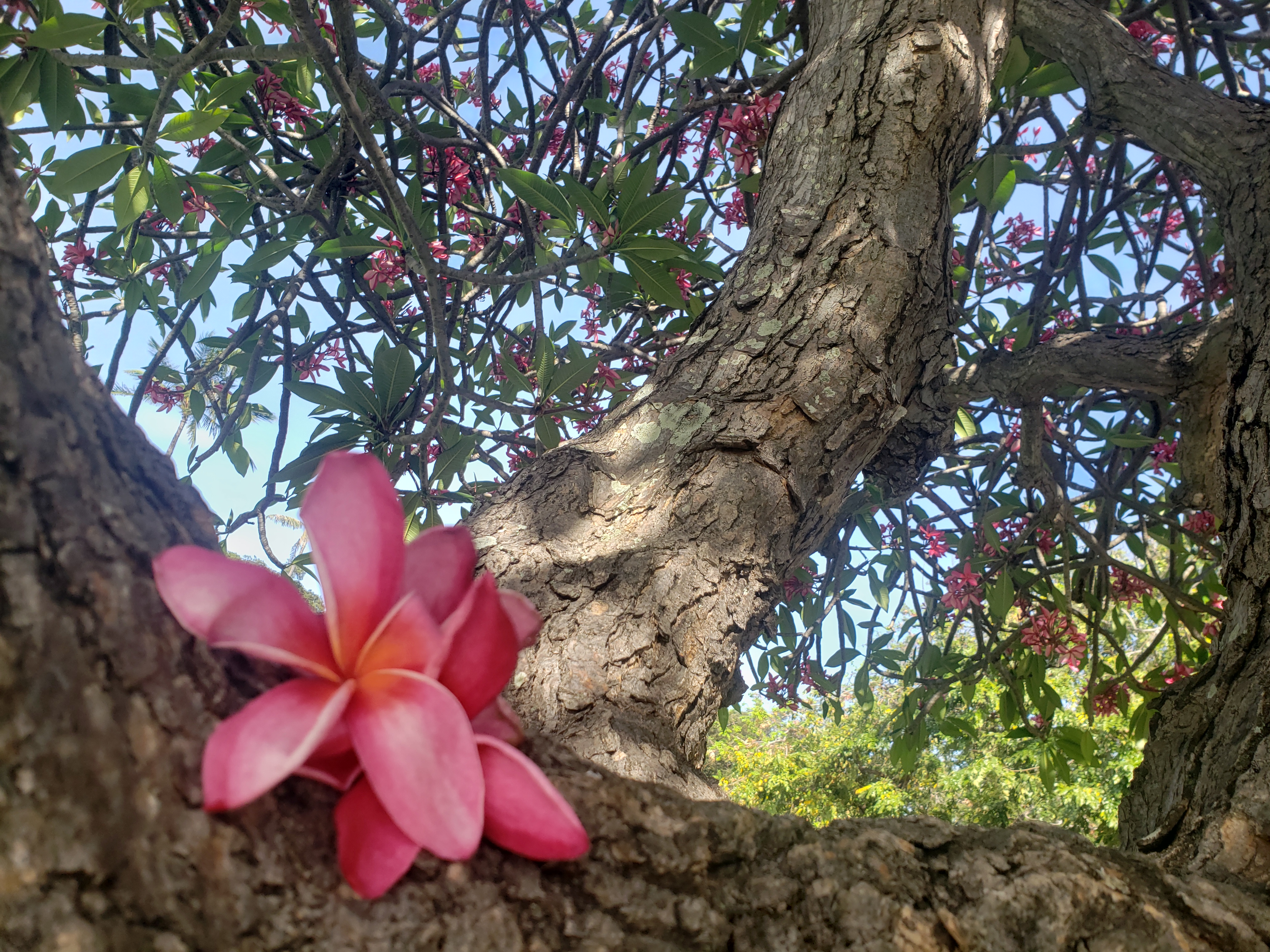 20190525_161211.jpg