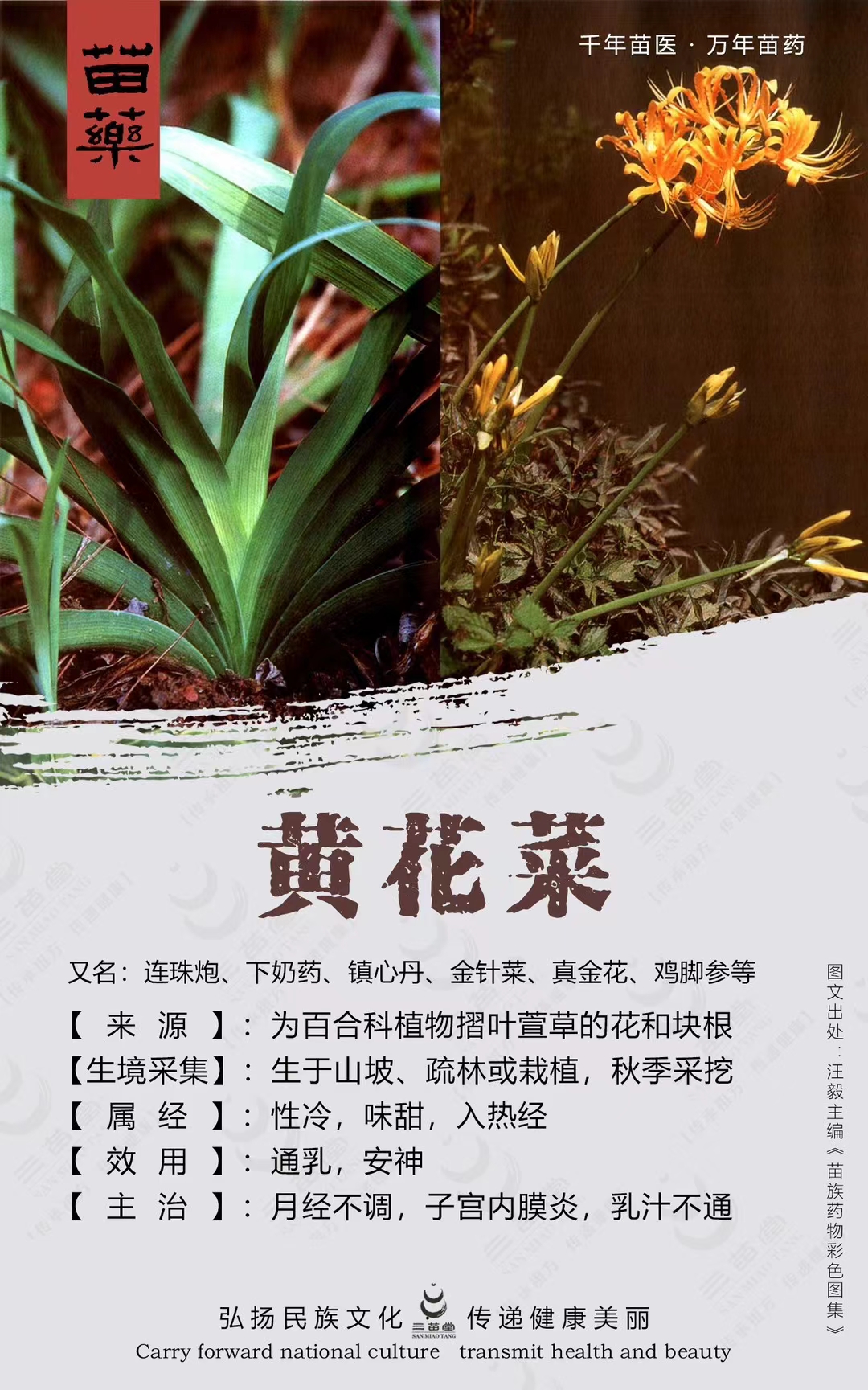 mmexport1716854774018.jpg