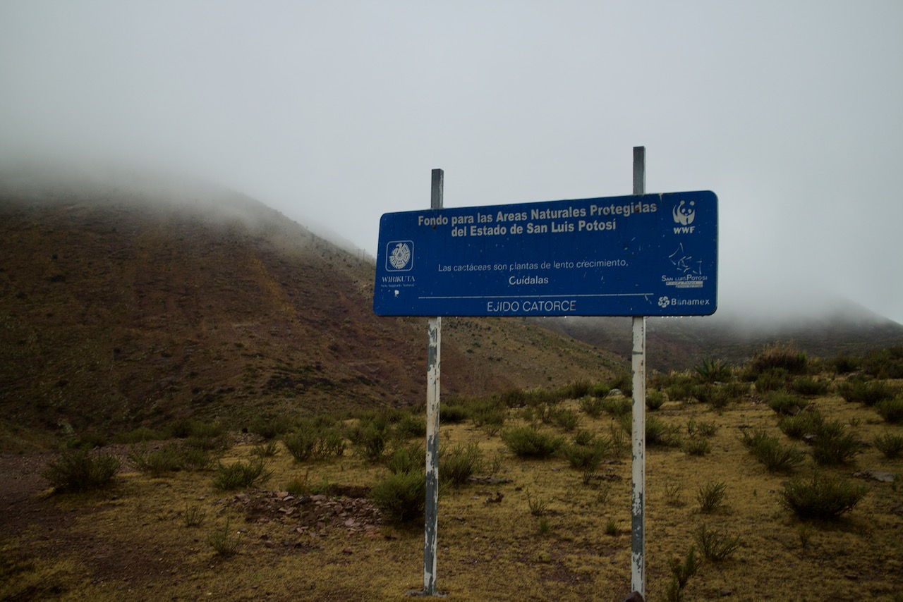 sign.jpg