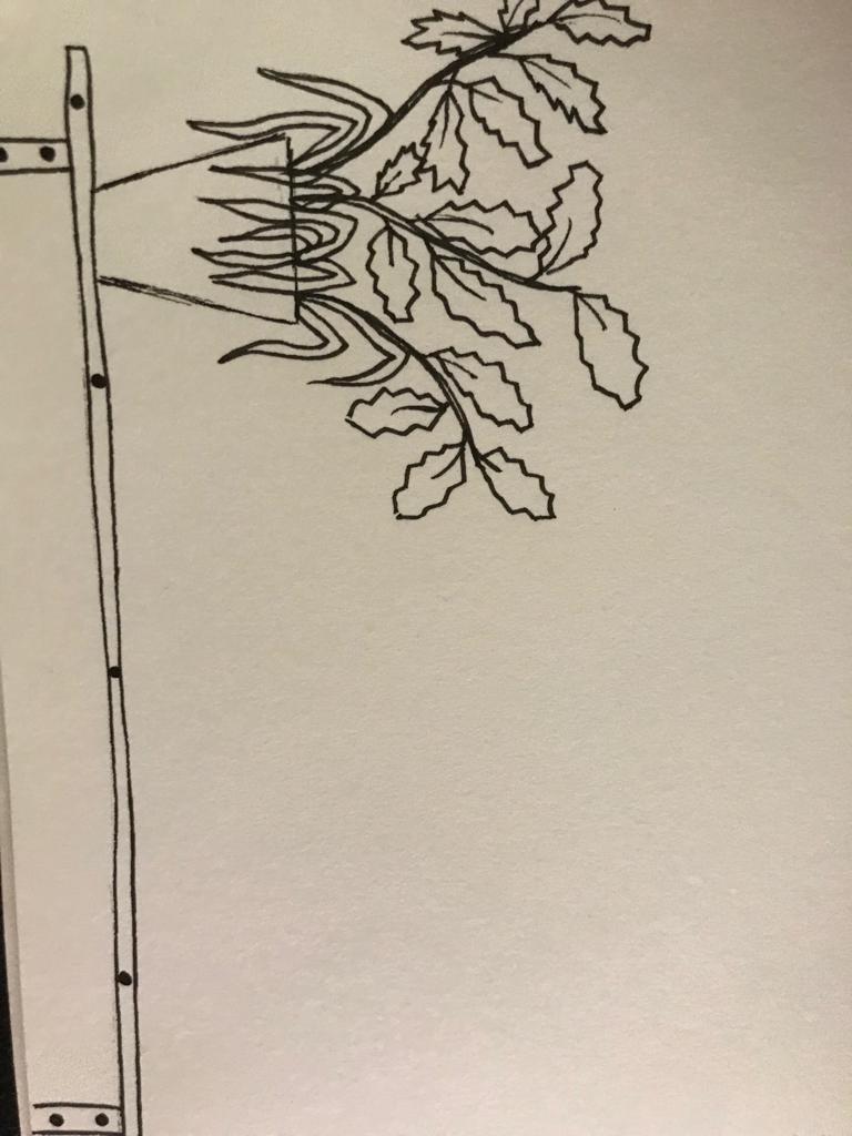 WhatsApp Image 2019-10-19 at 12.22.30 AM (11).jpeg