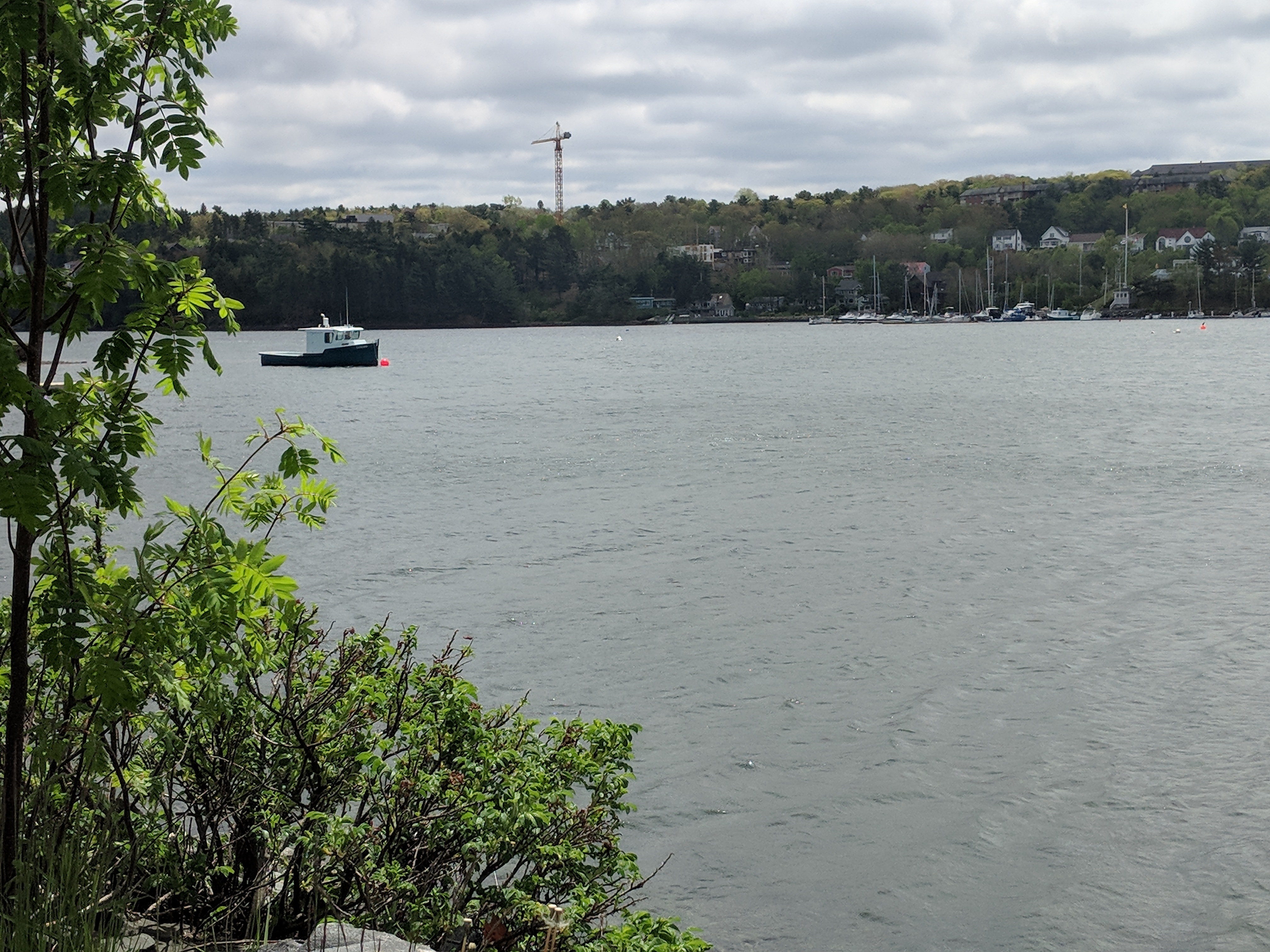 IMG_20180529_125458.jpg