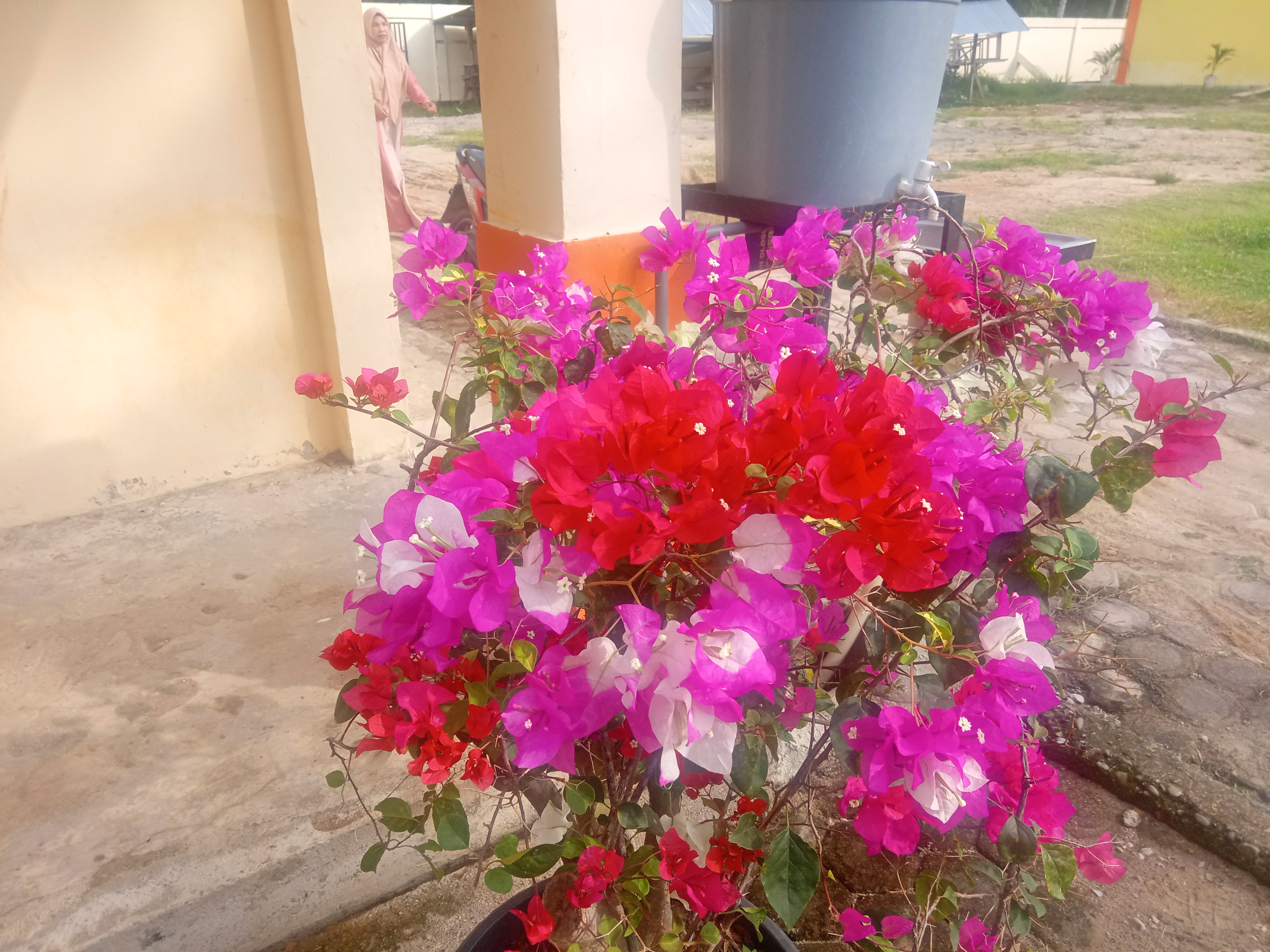 IMG20210603084012.jpg