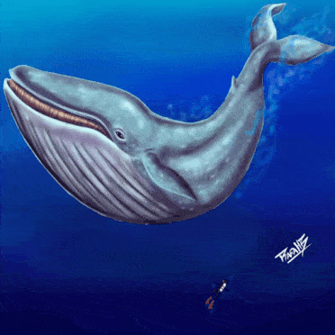 blue.gif