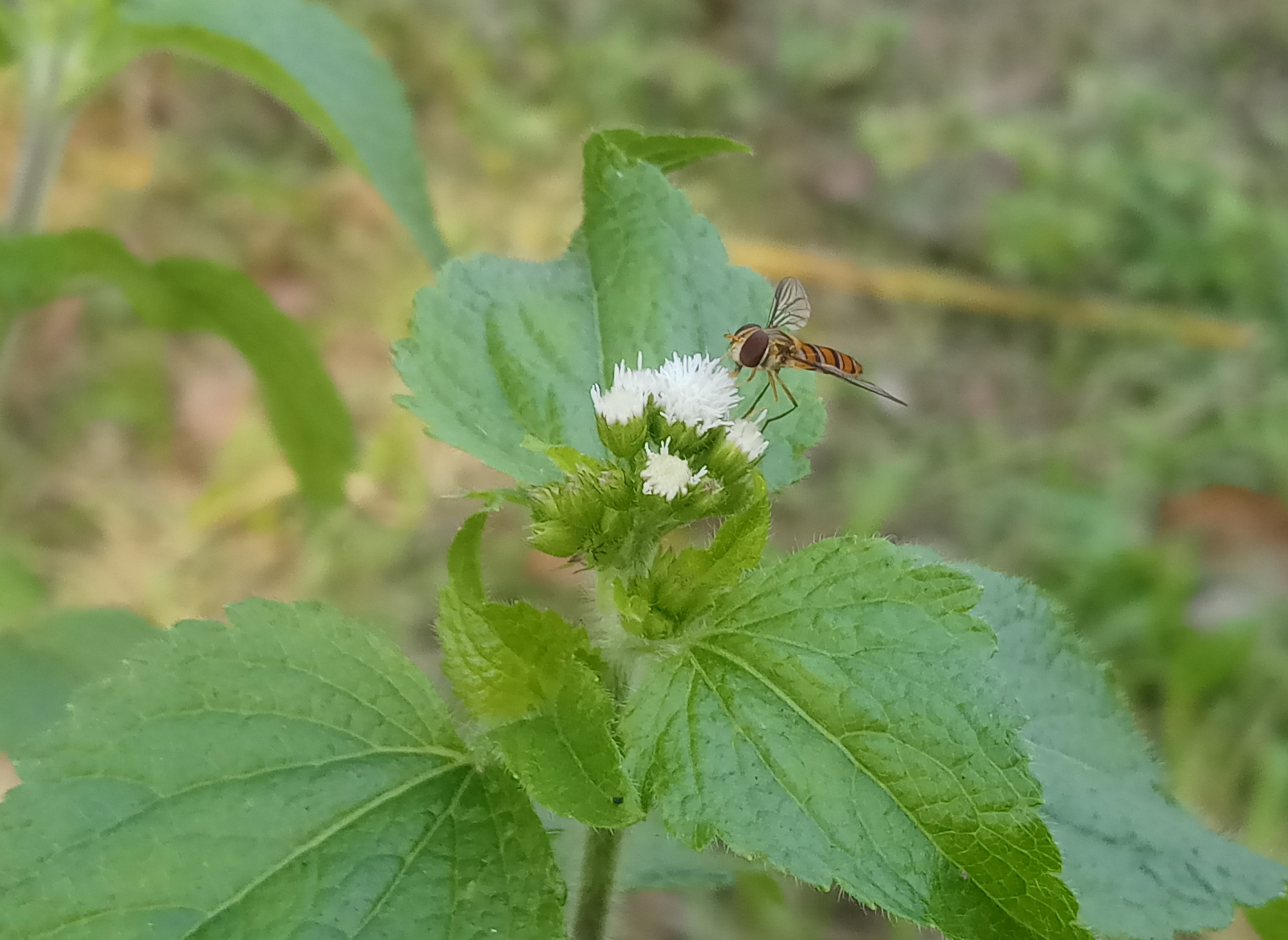 20191208_113237.jpg