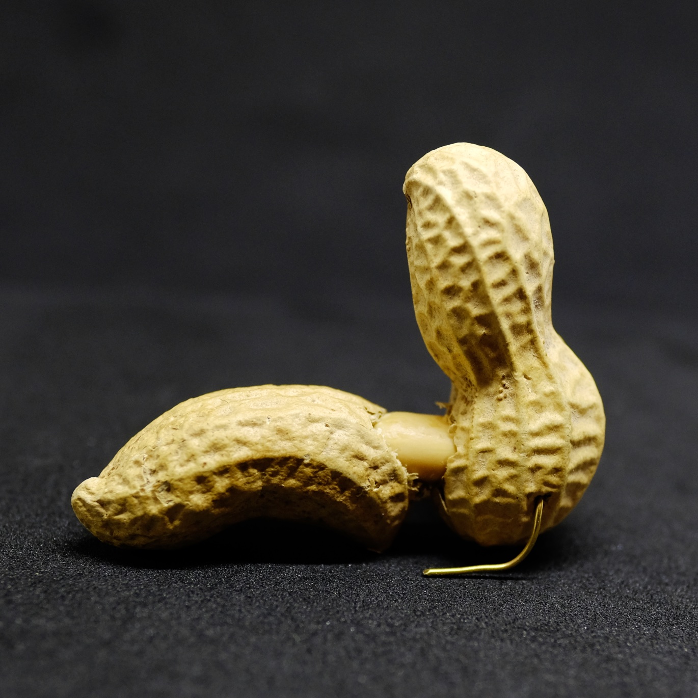 NutPorn Is The New Normal ~ Getting Paid Peanuts? Fight Back! — Steemit