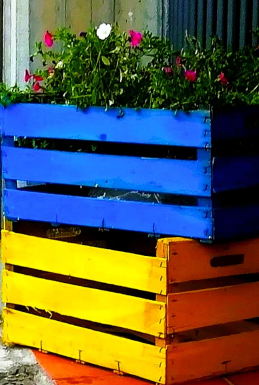 Giallobox6.jpg