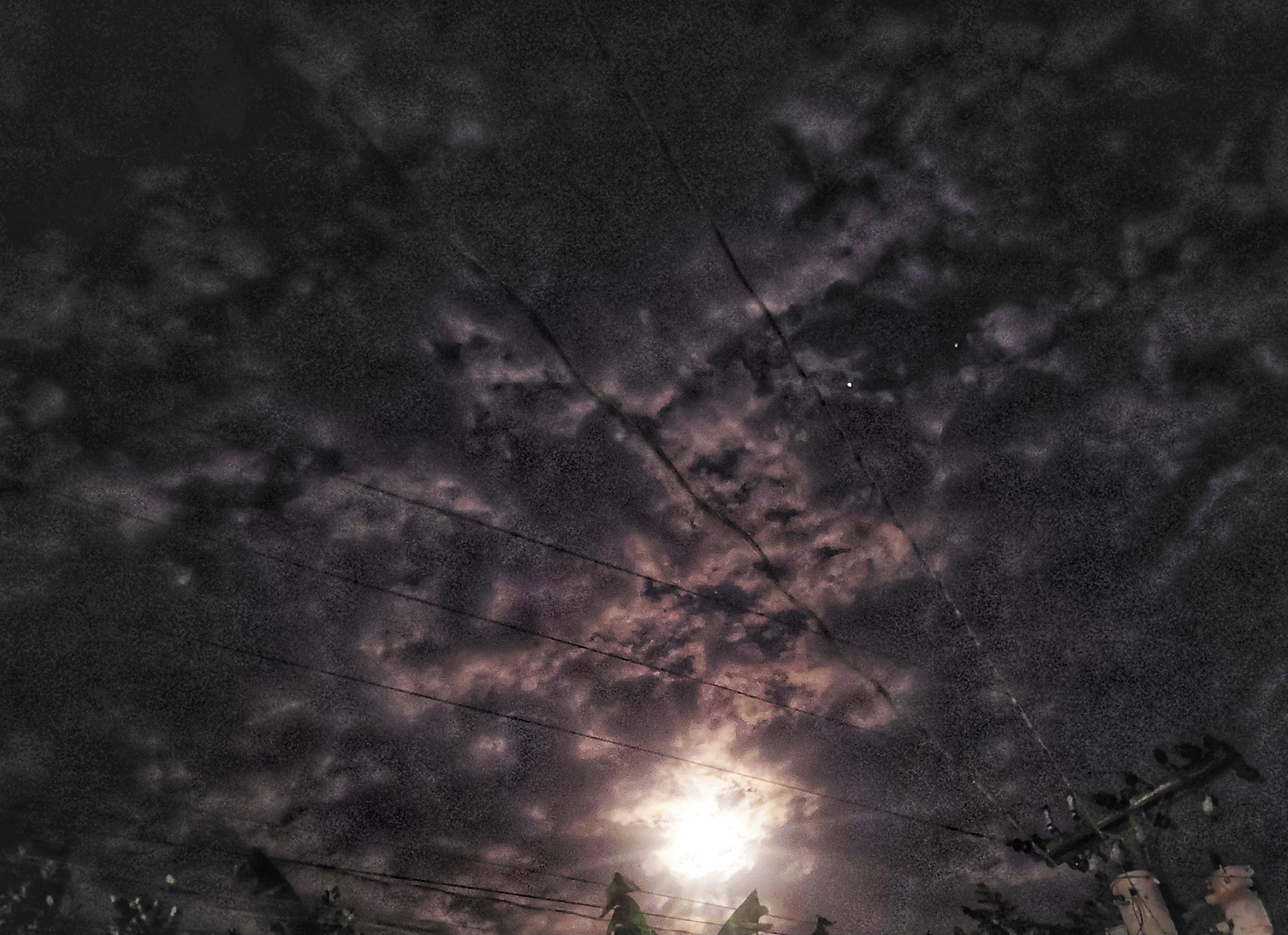 20250112_181957.jpg