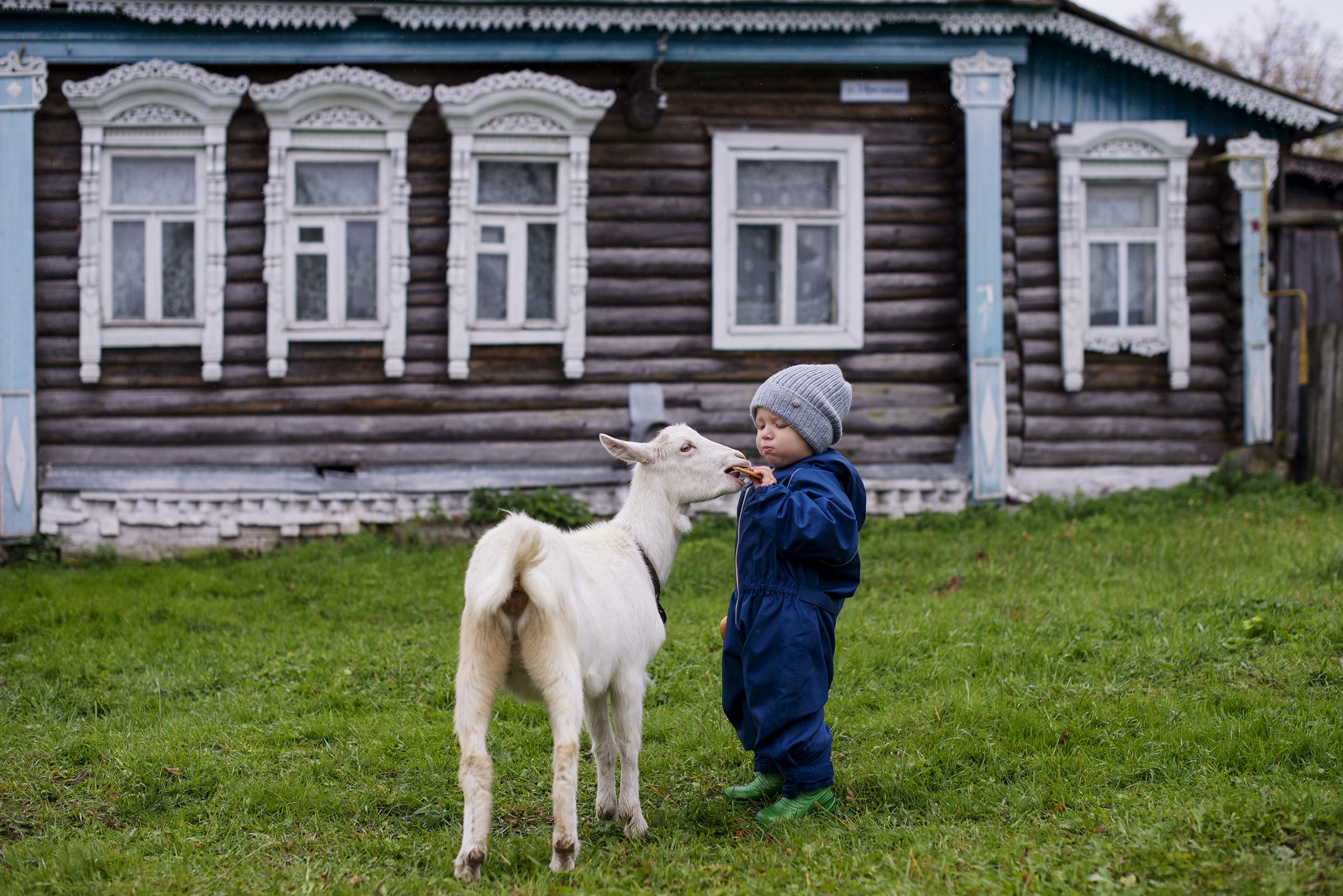 Деревенская 7. Ты в деревне. Ах деревня .. Эх ты деревня. Городские гости в деревне.