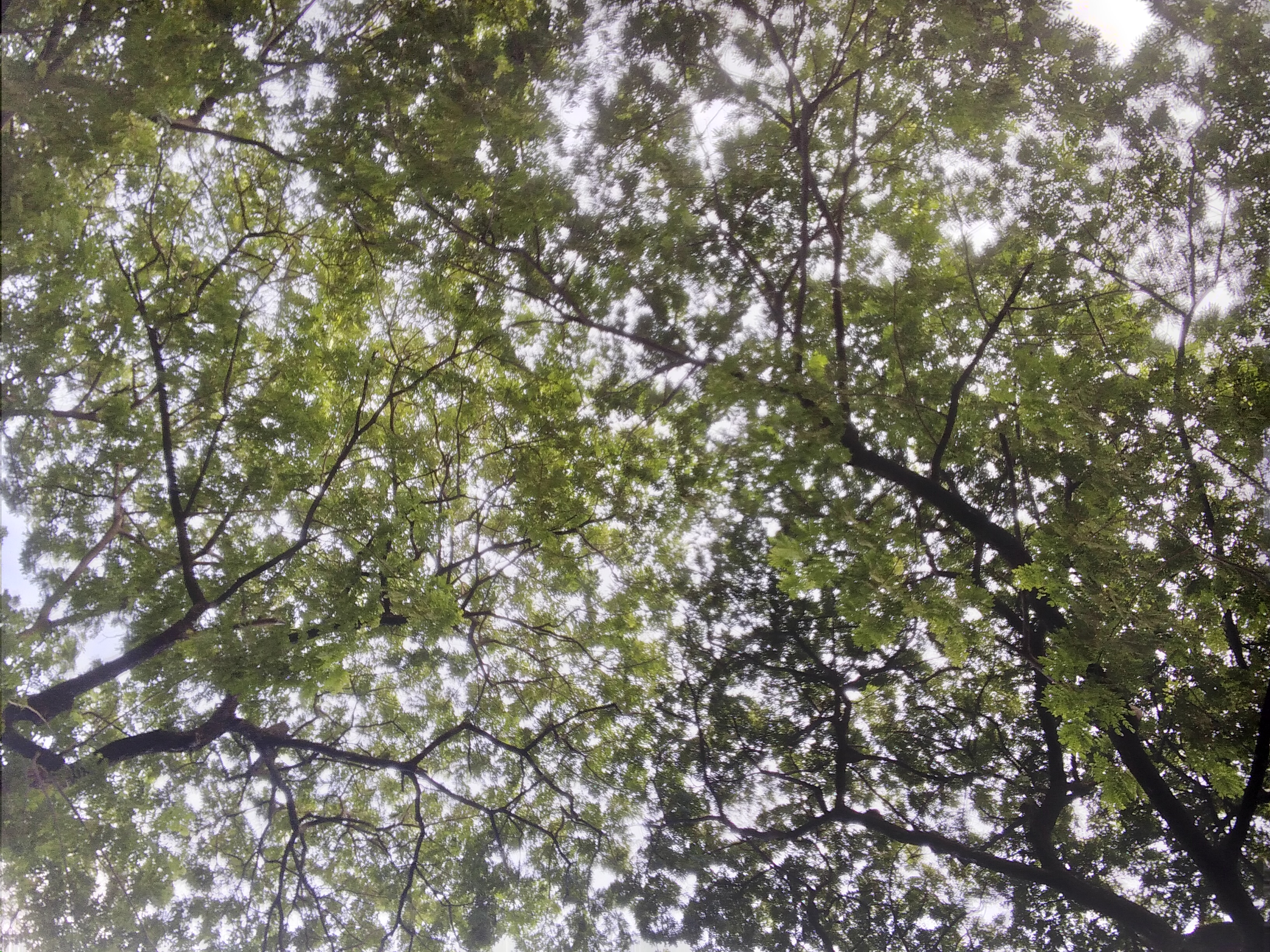 20240917_082625.jpg