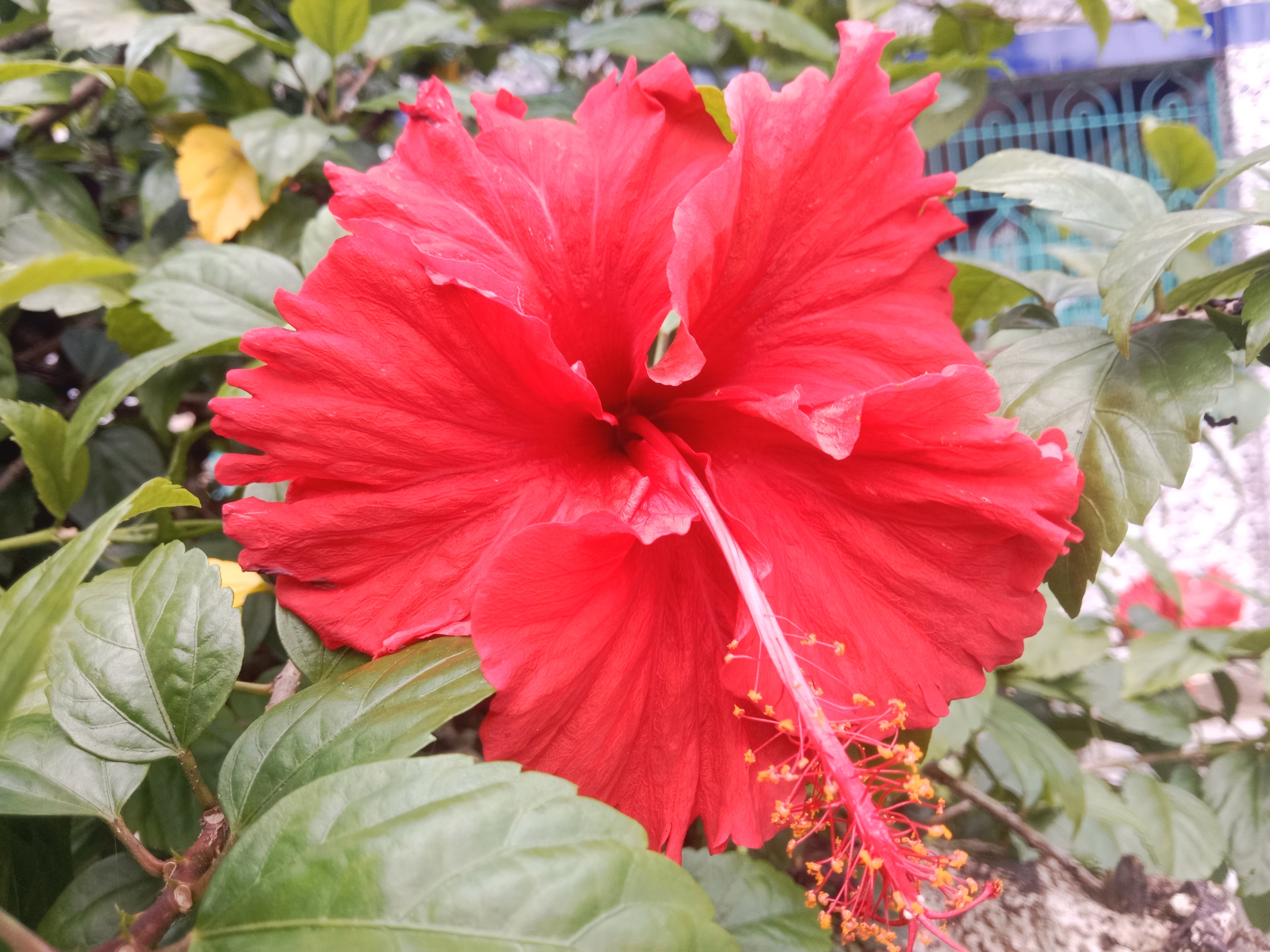 IMG_20260920_161636.jpg