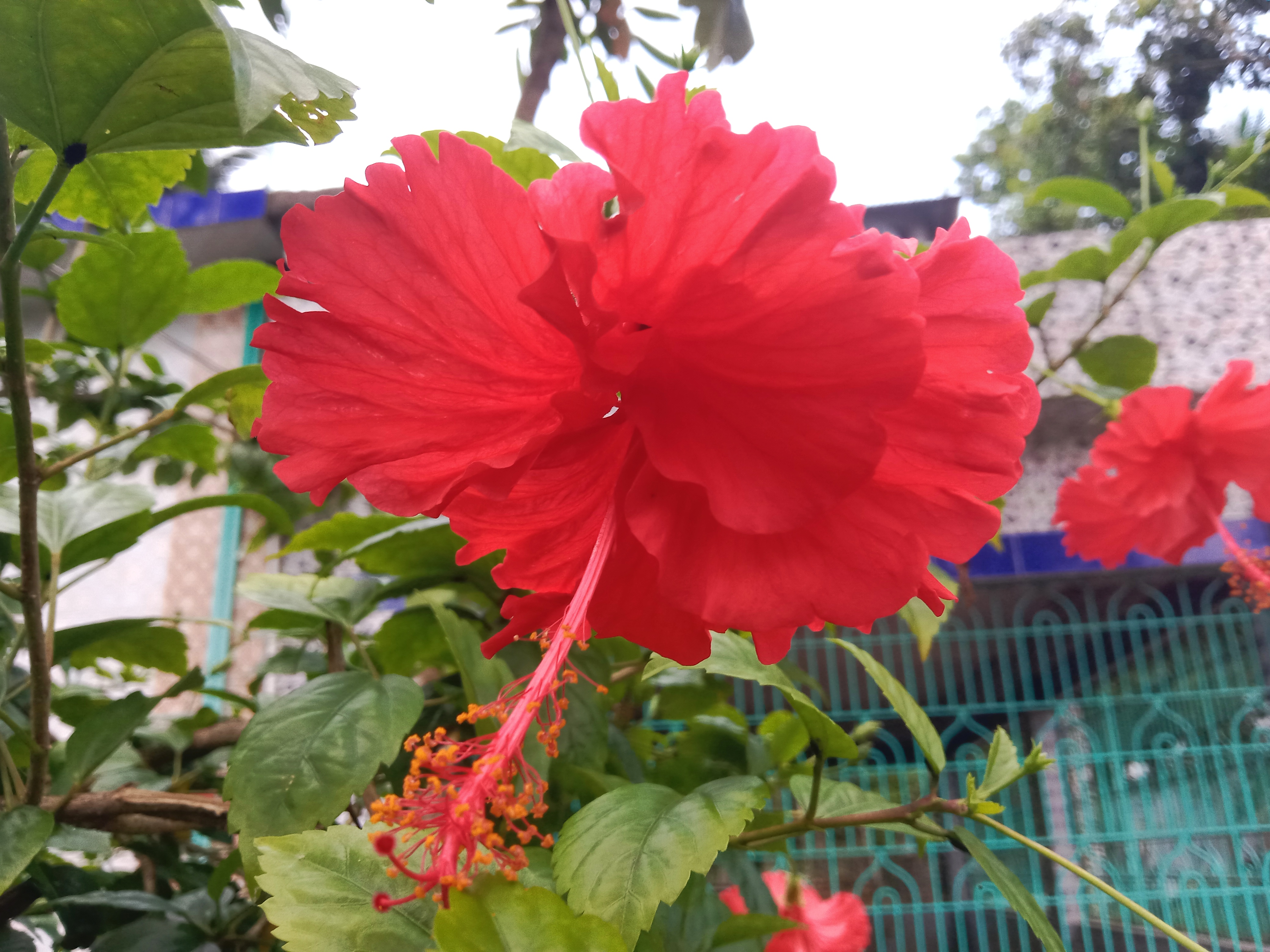 IMG_20260921_221441.jpg