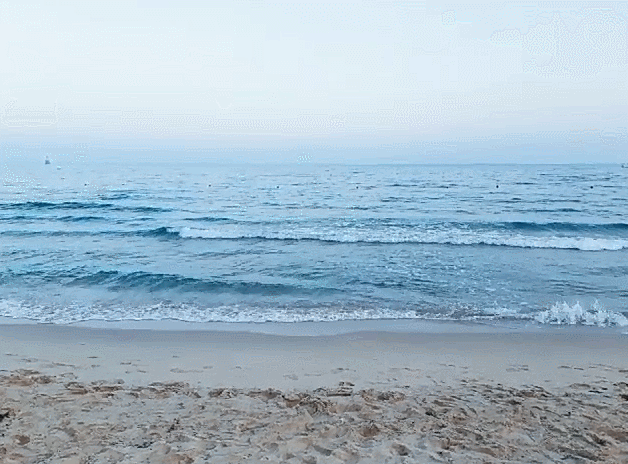 2.gif