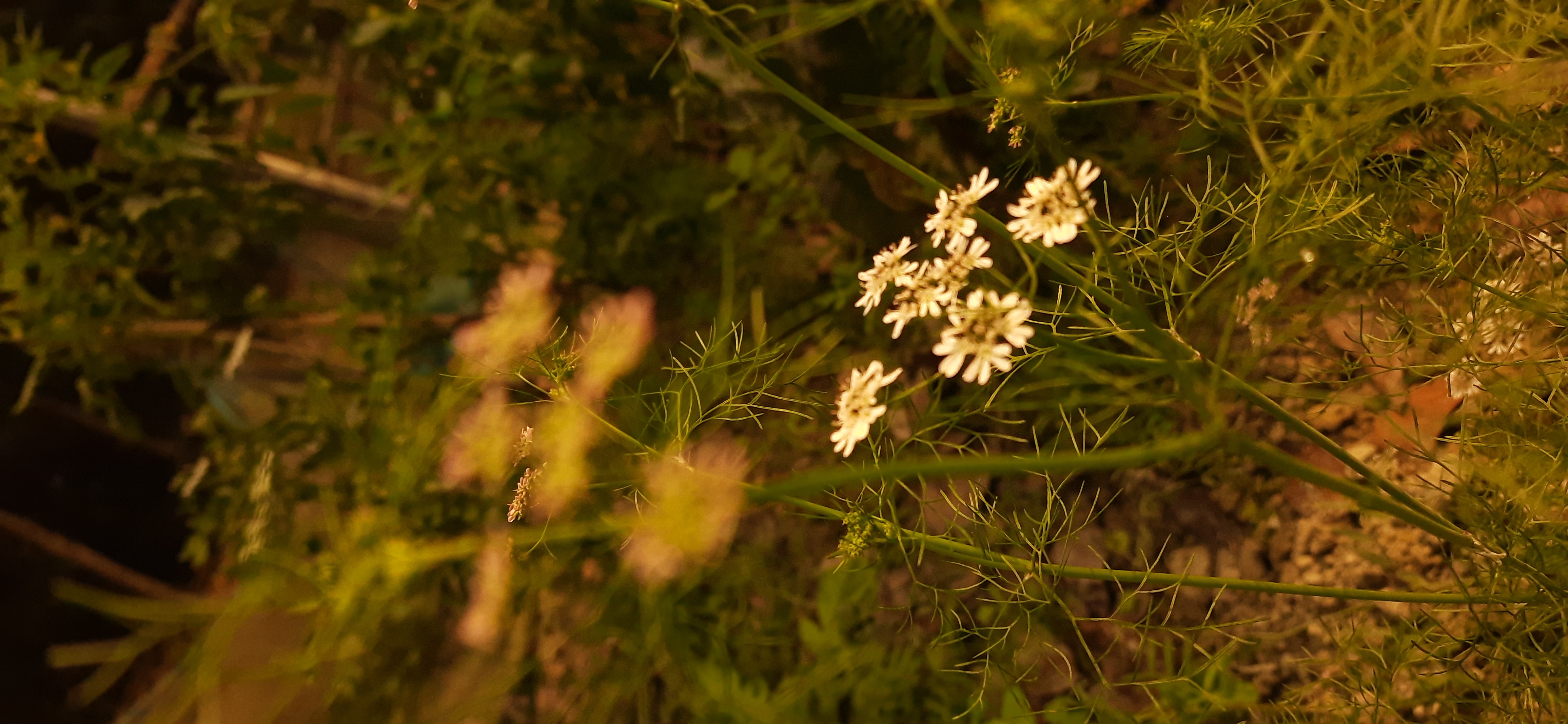 20210130_101106.jpg