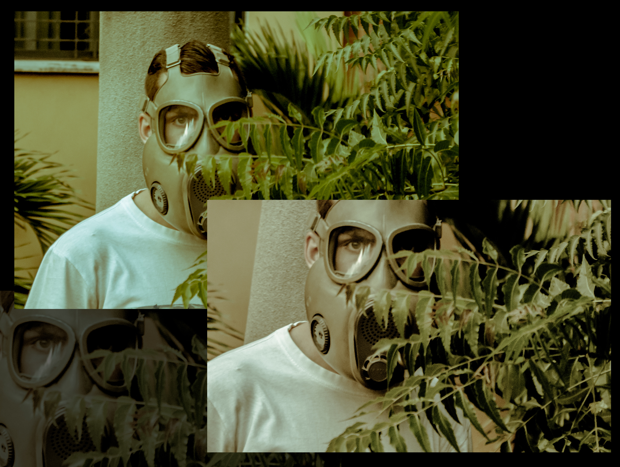 collage1.jpg