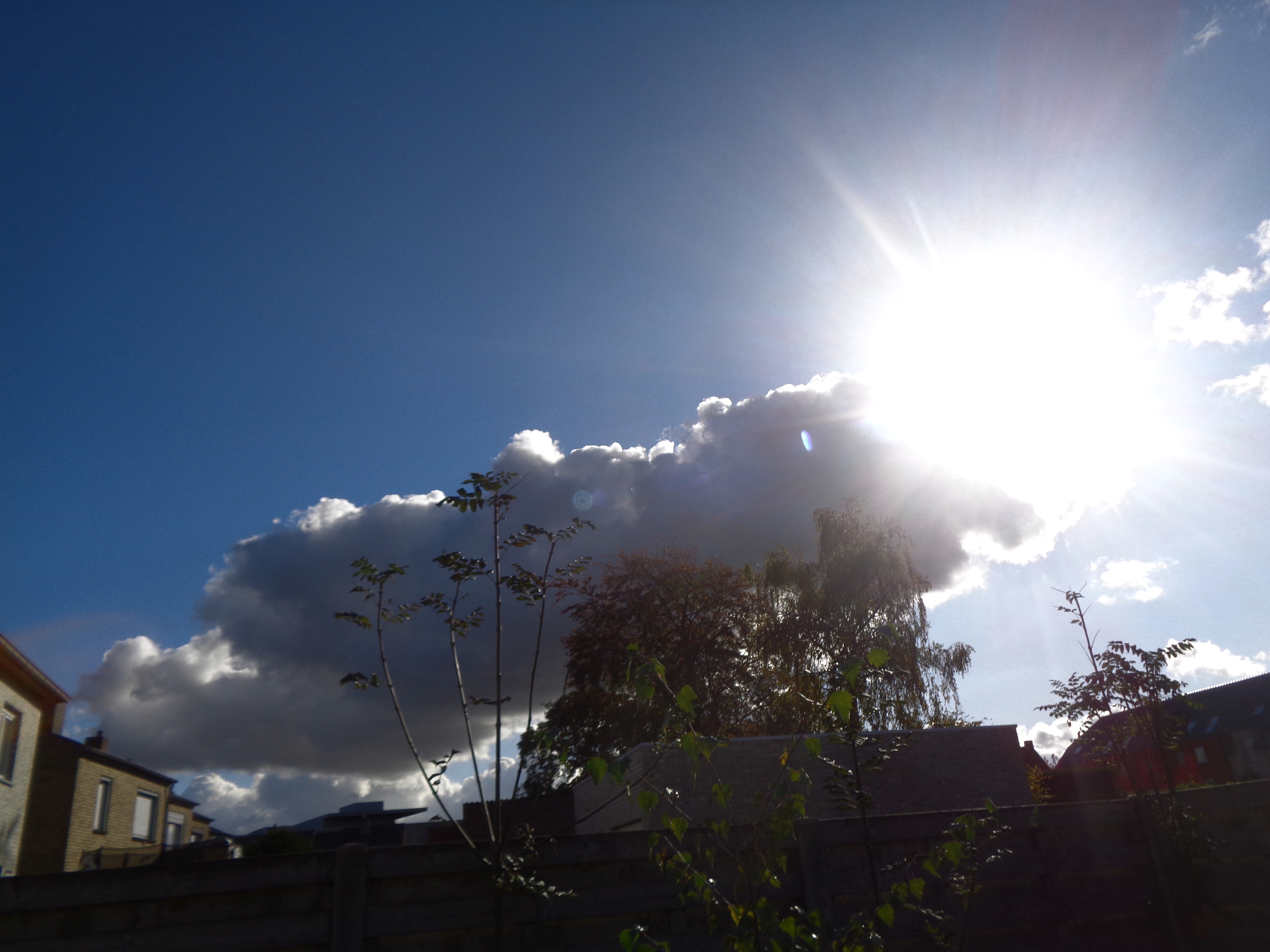 steemcloud11.JPG