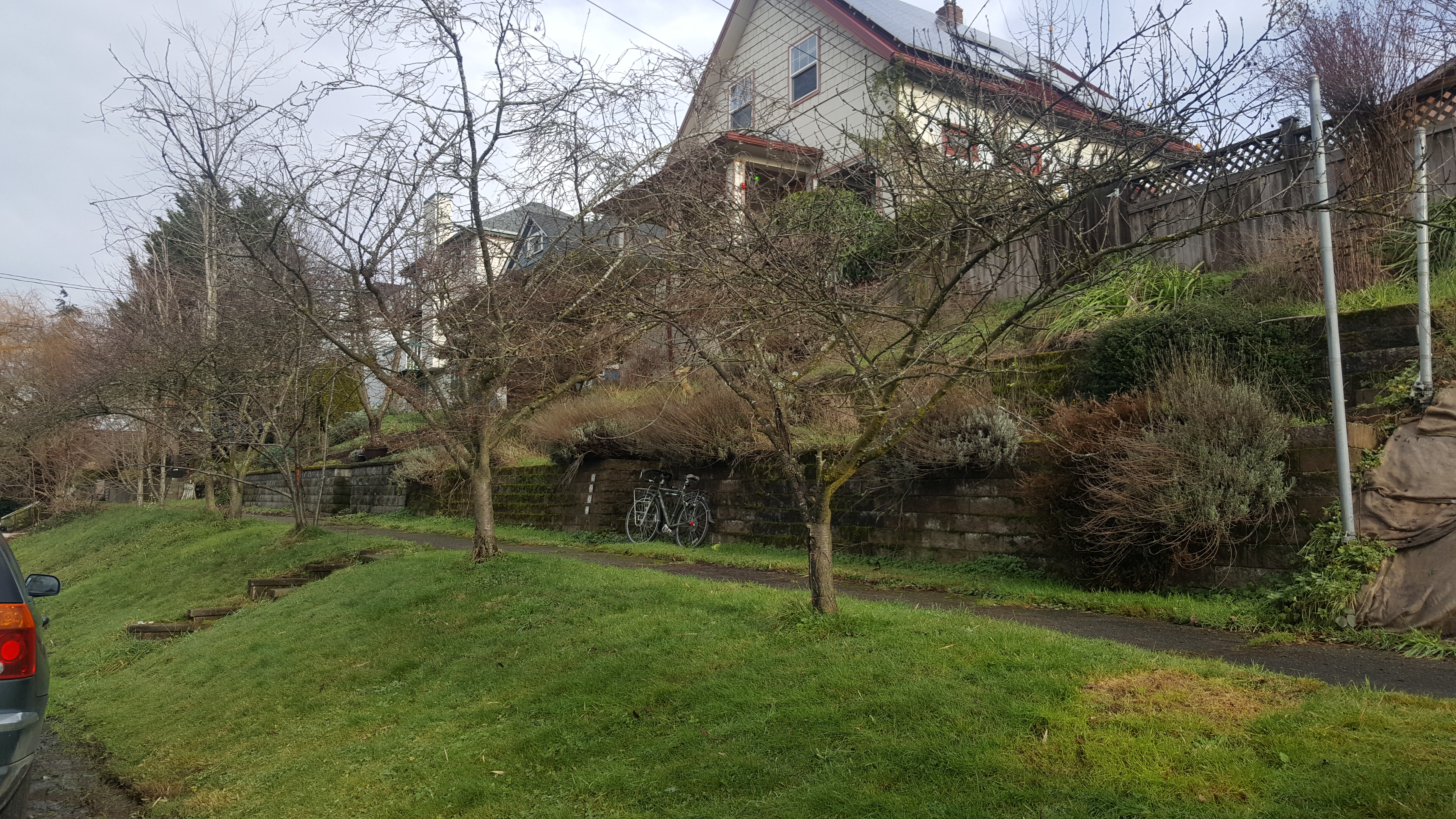 20190111_121523.jpg