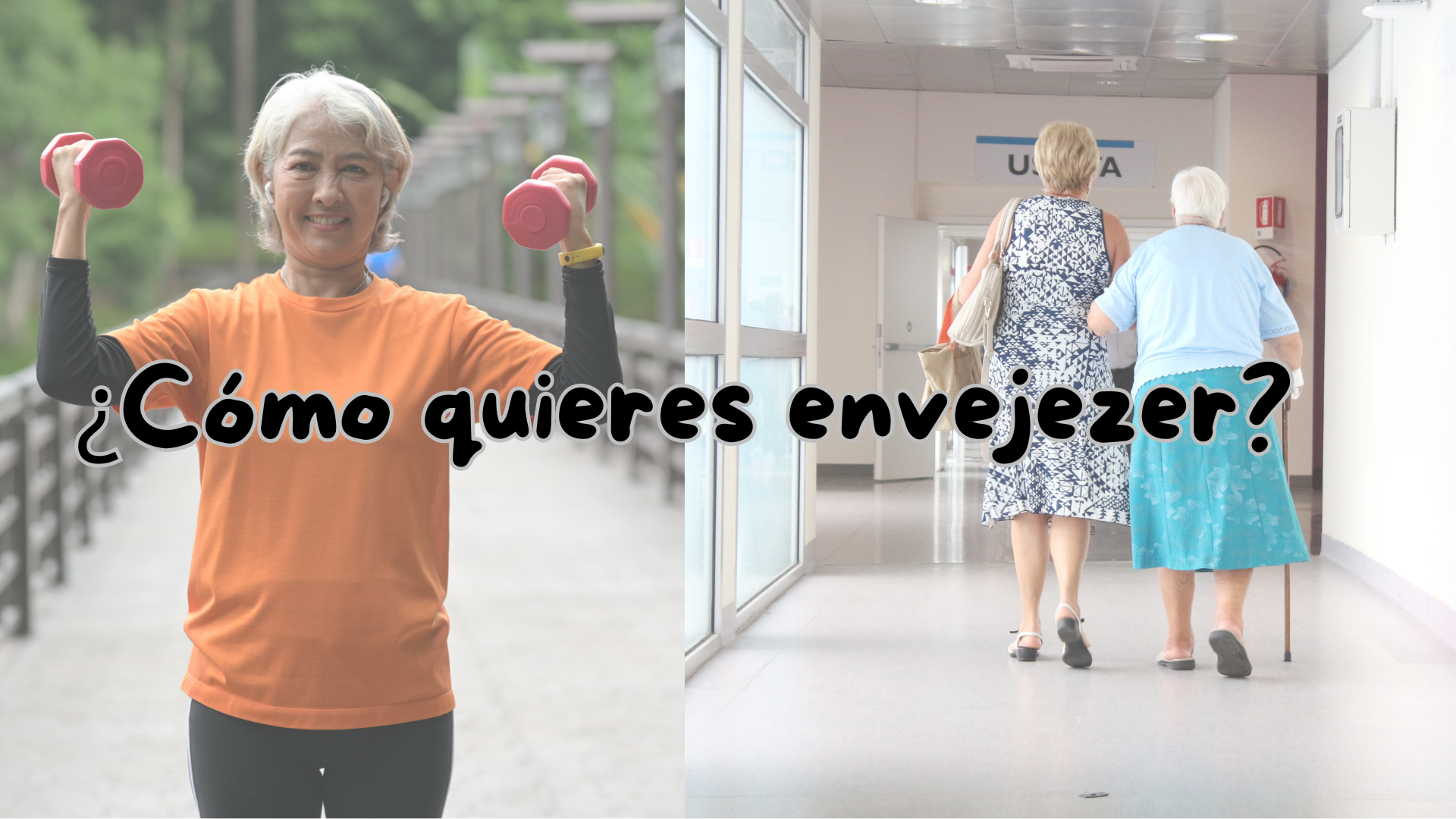 Mentiras nutricionales.png