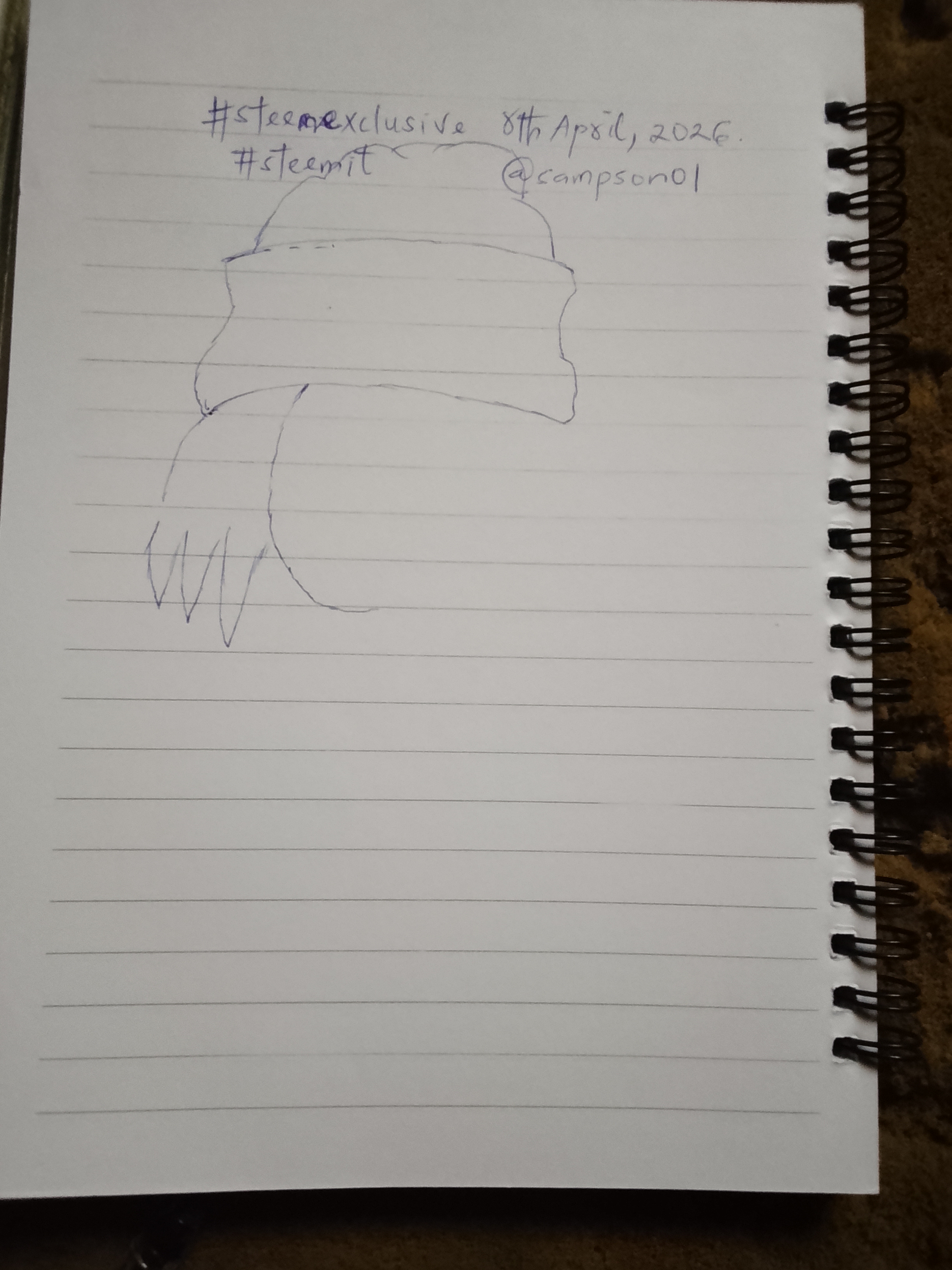 12503.jpg