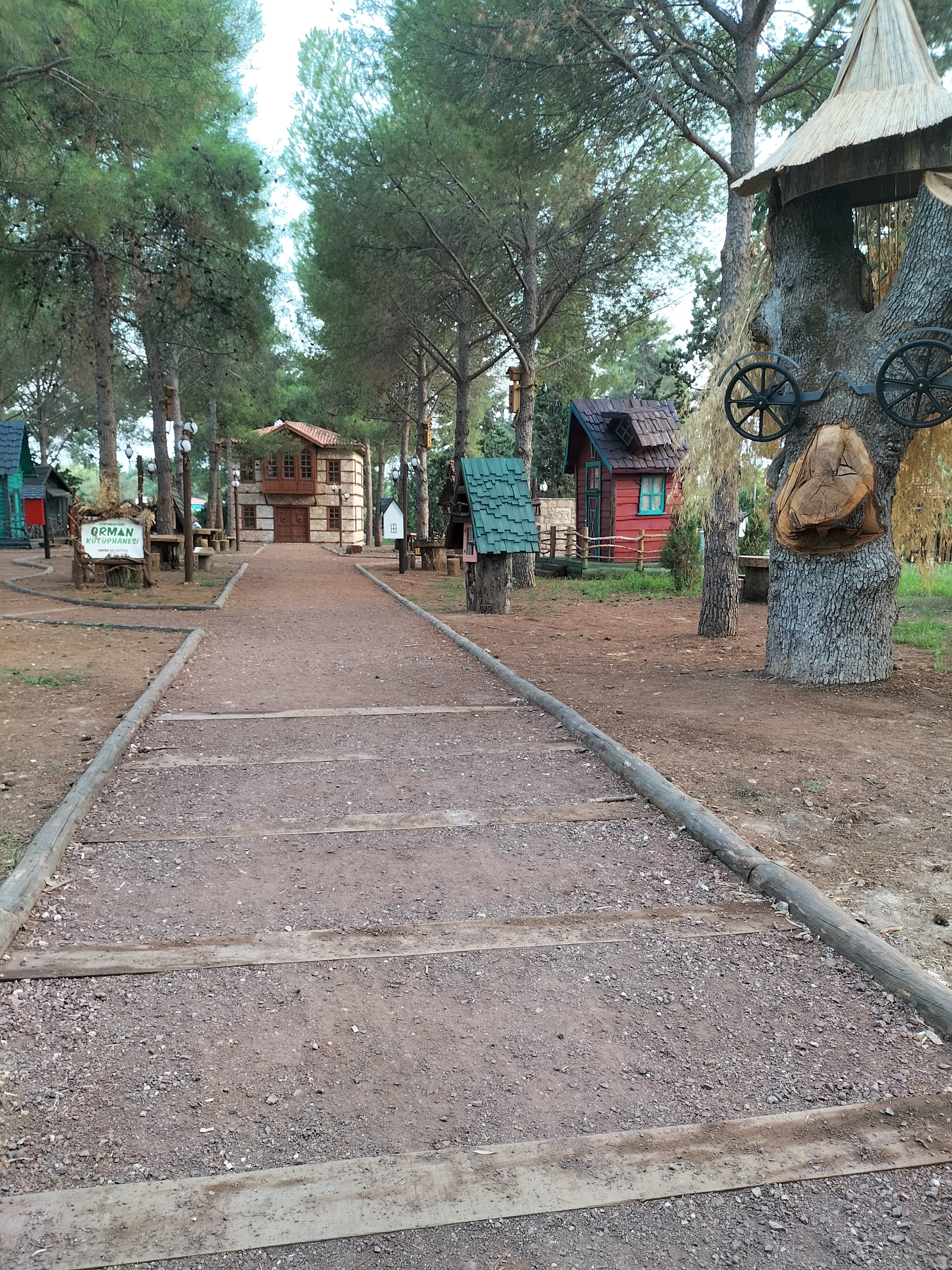 IMG20220809192317.jpg