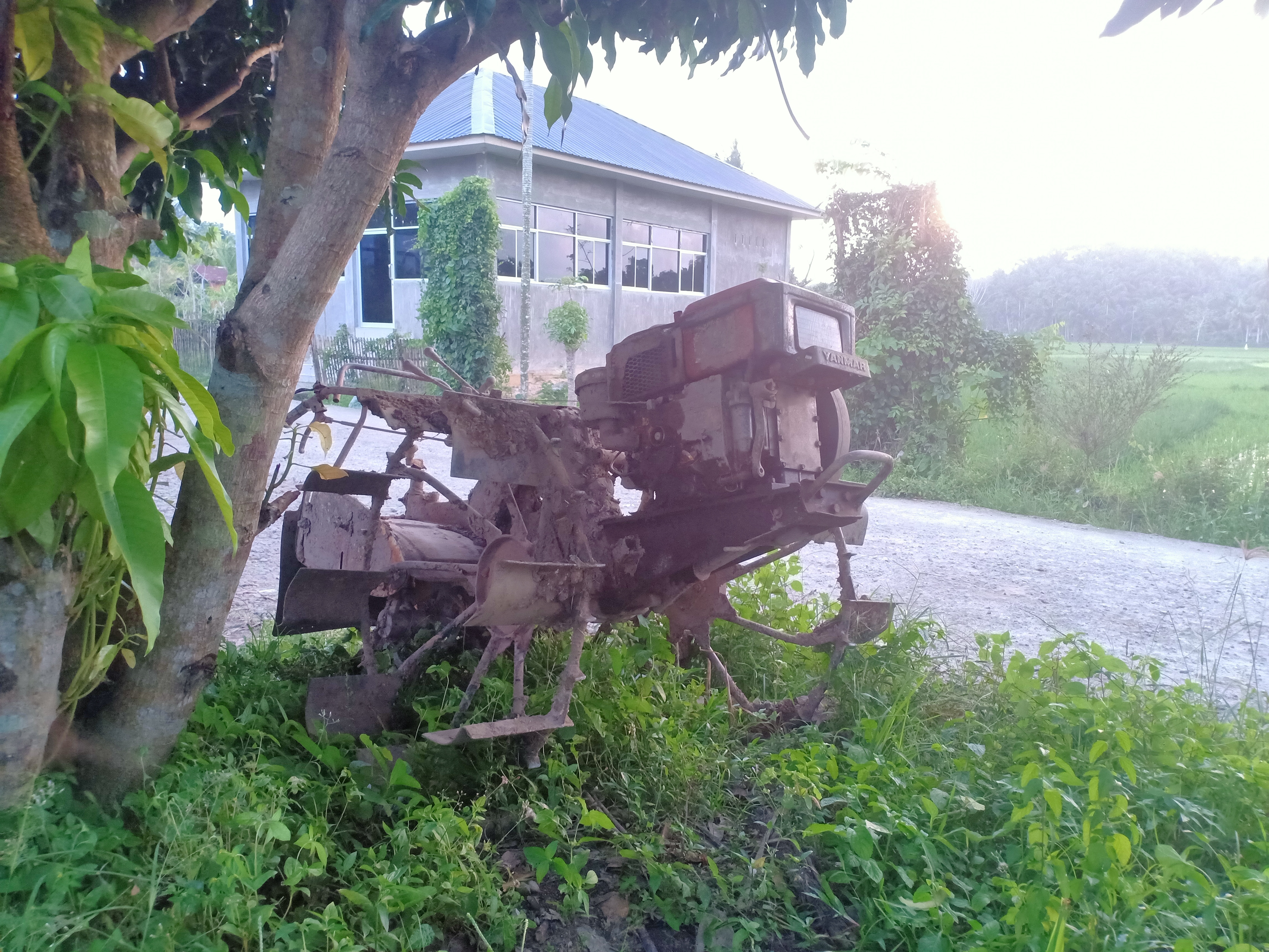 IMG20260117183057.jpg