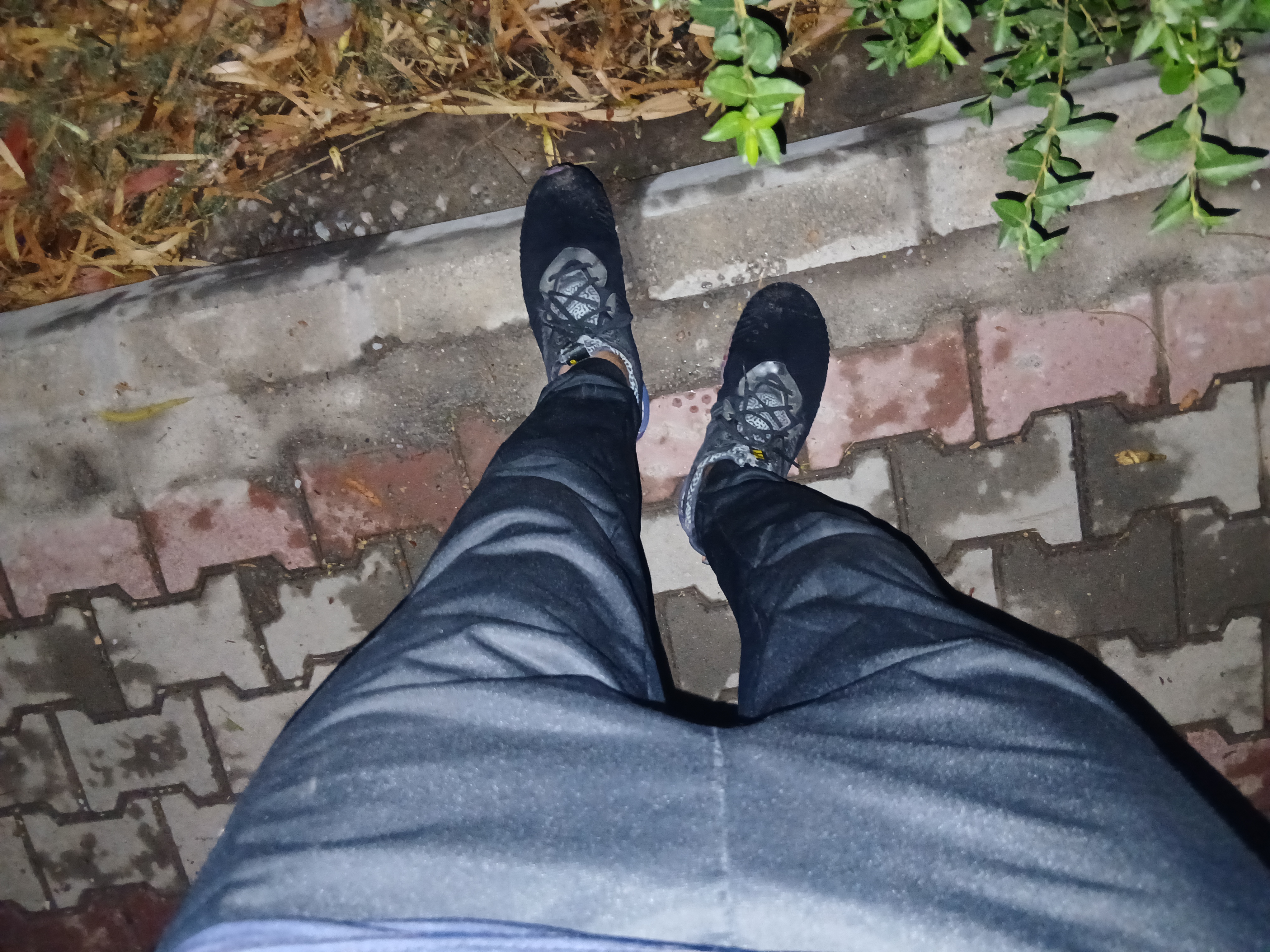 20260617_202601.jpg