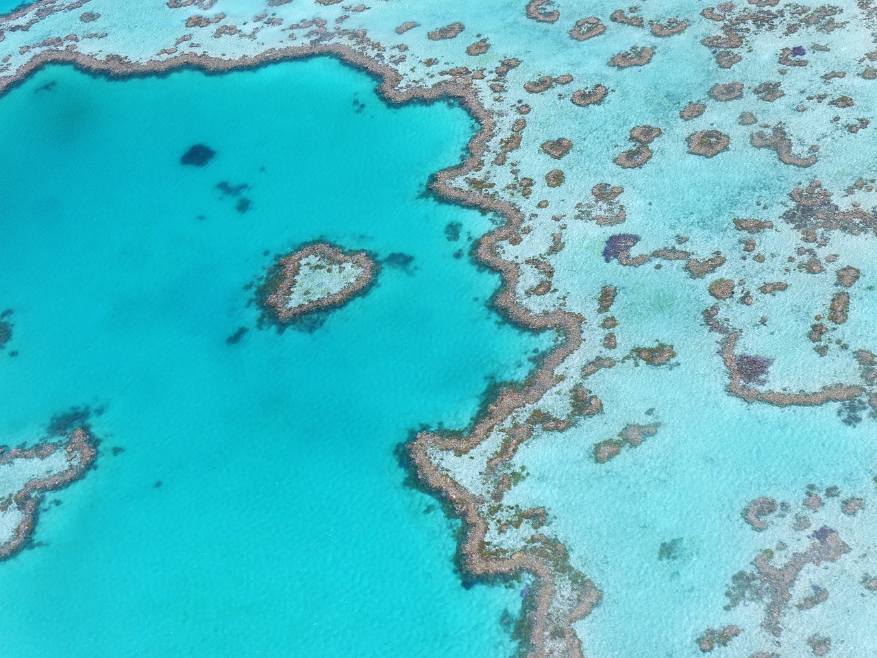 heart-reef-g23056777d_1280.jpg