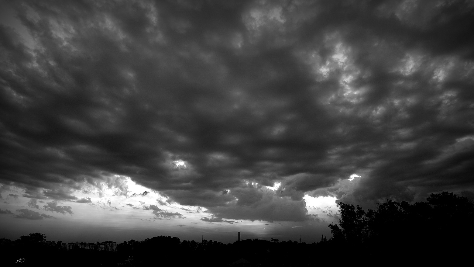 DSC06133b.jpg