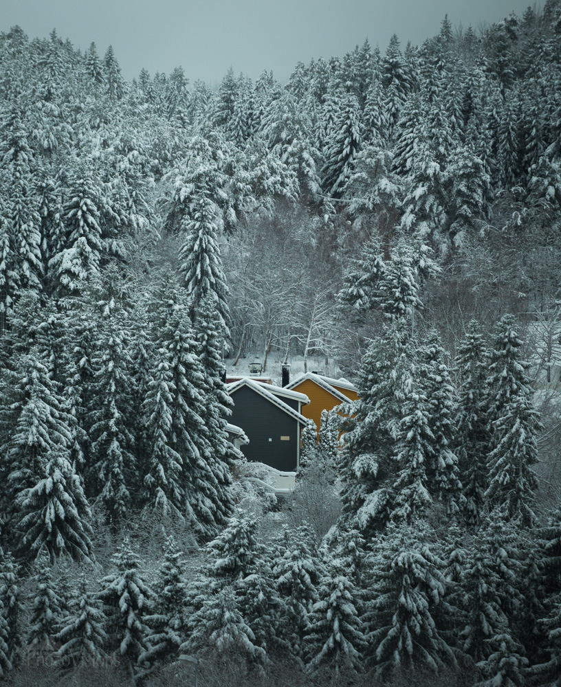 _MG_1598-1-2.jpg