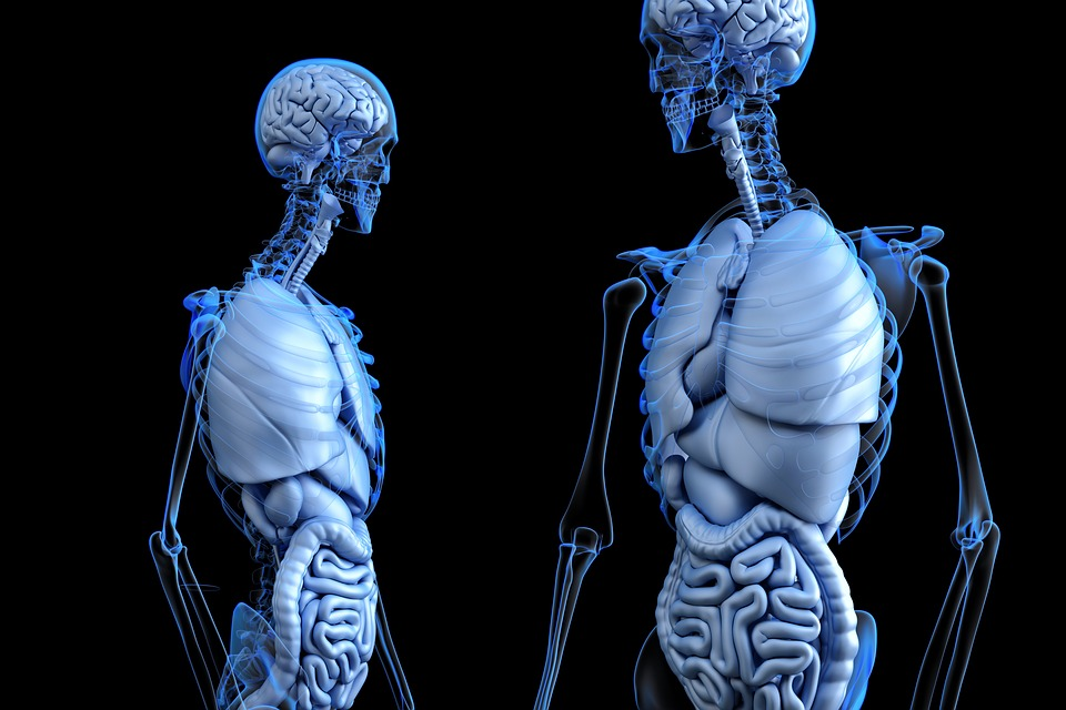 image (2).png
