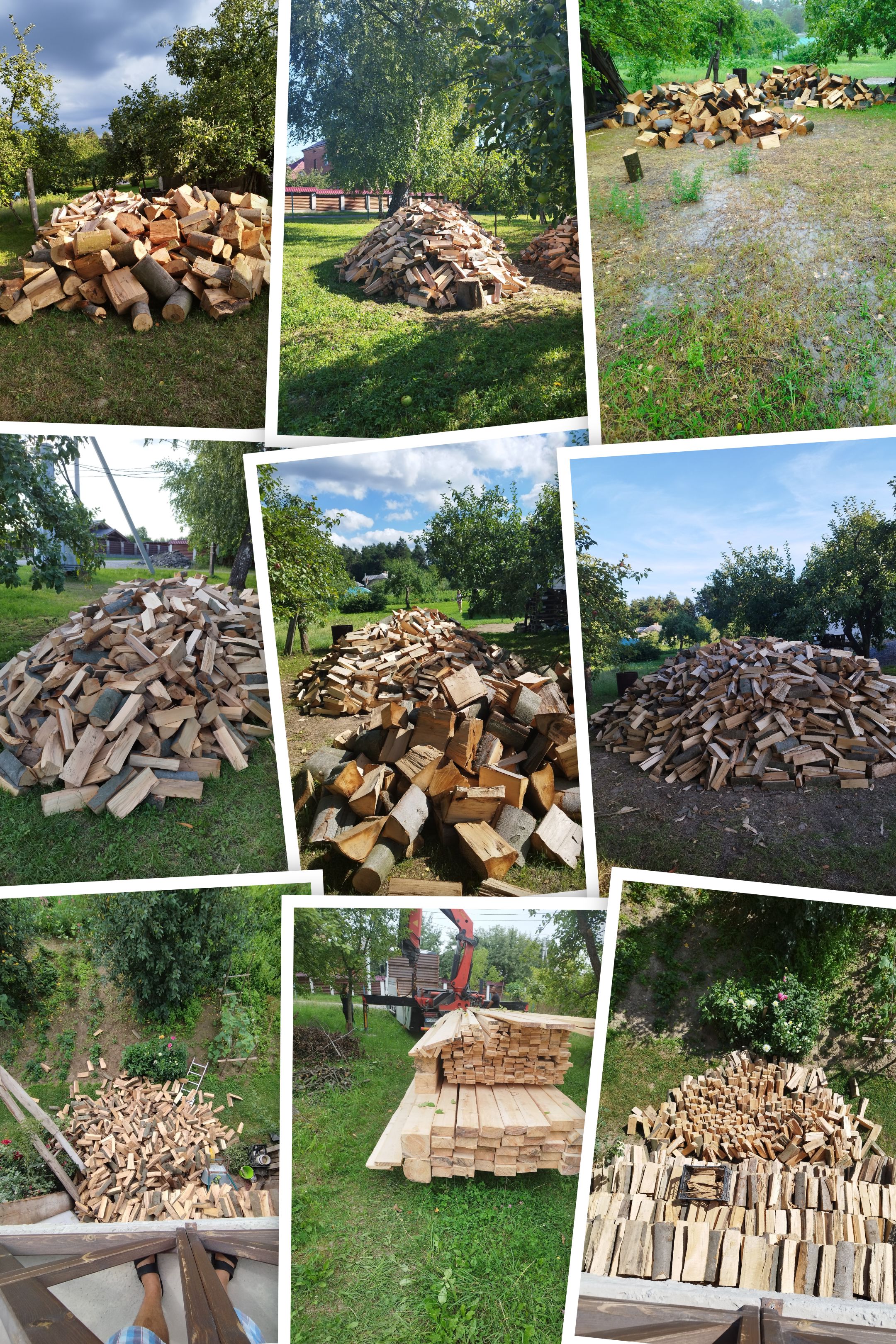 IMG_20240724_191125-COLLAGE.jpg