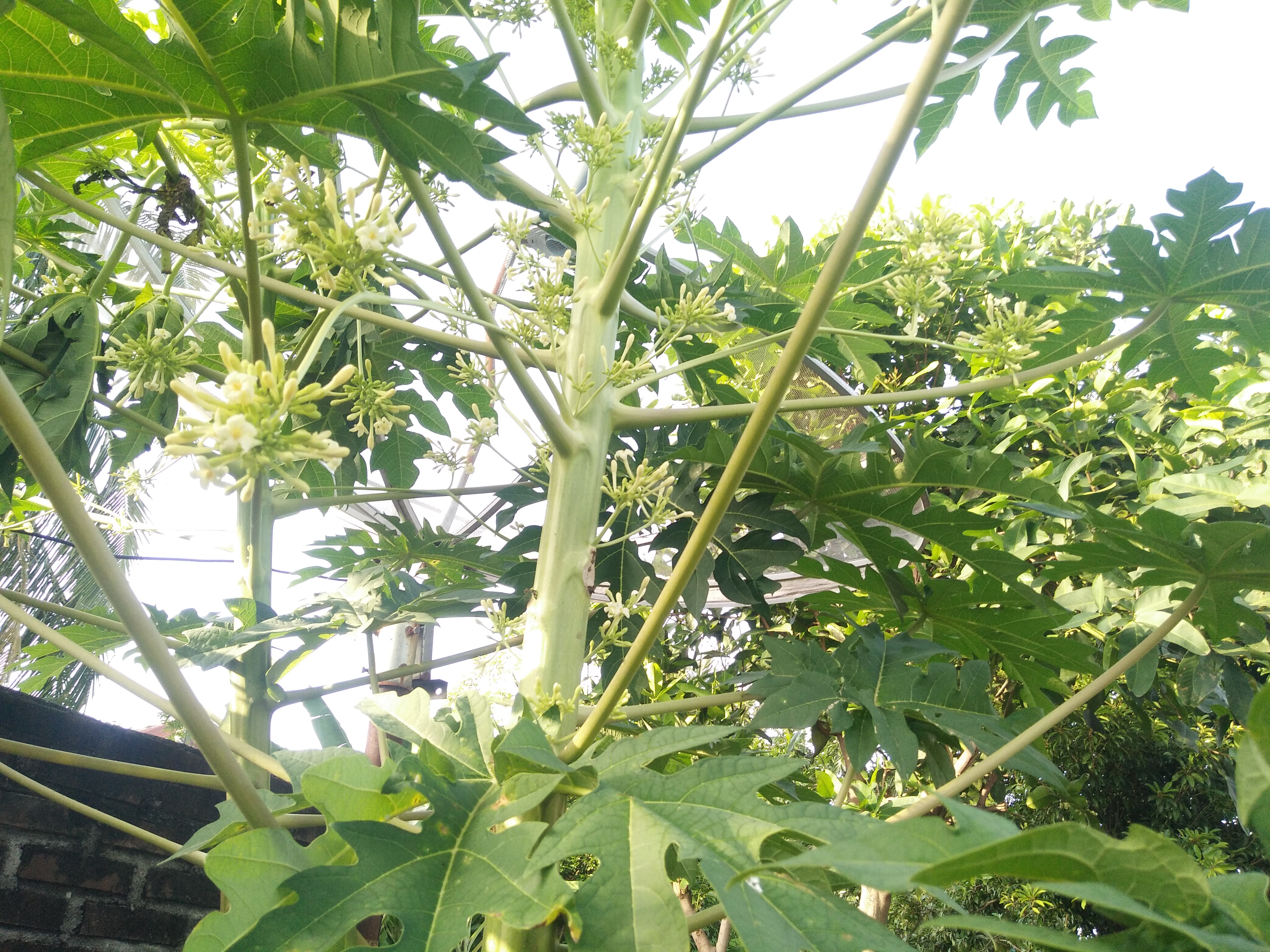 IMG20191204165747.jpg
