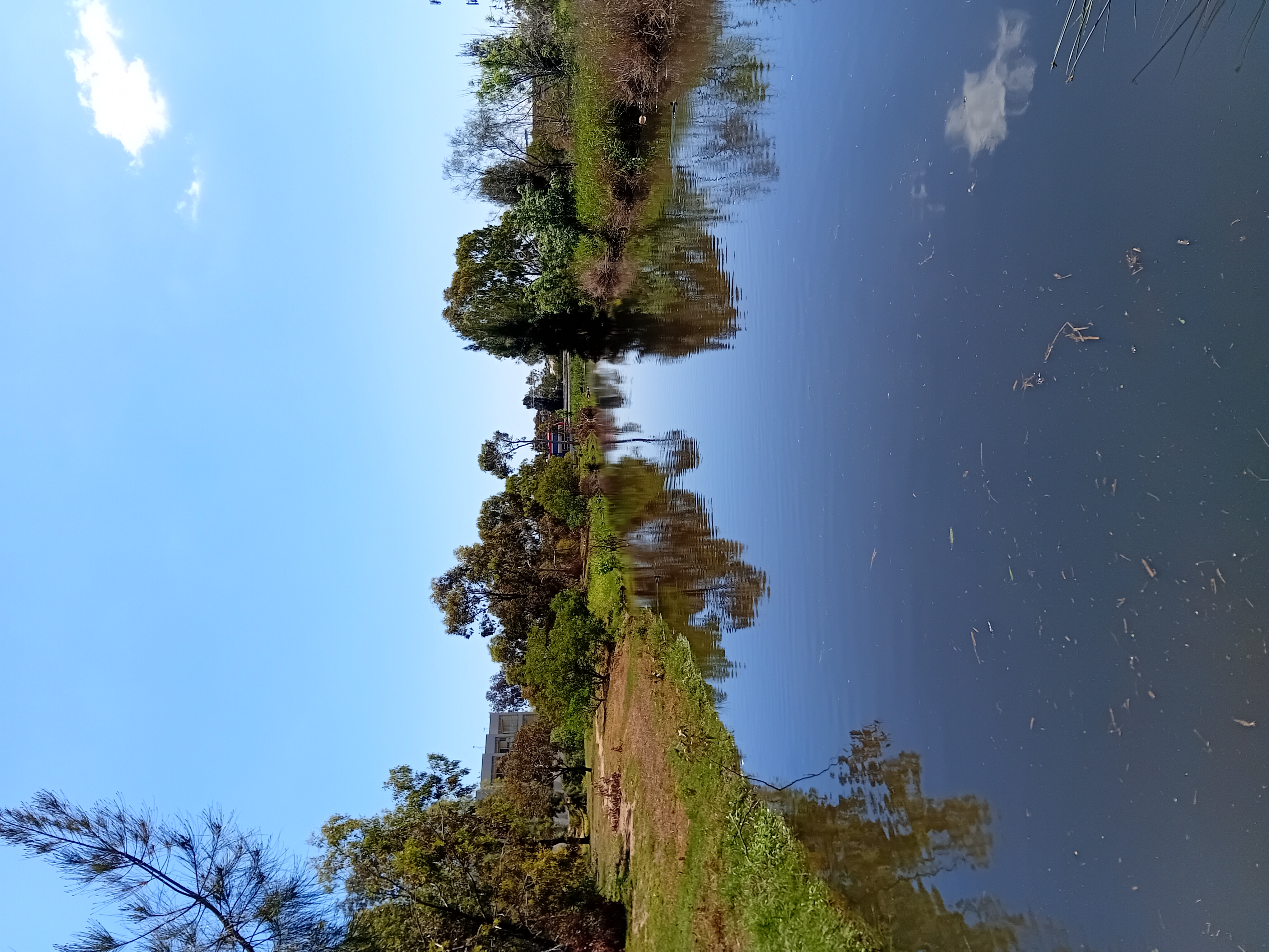 20251023_133958.jpg