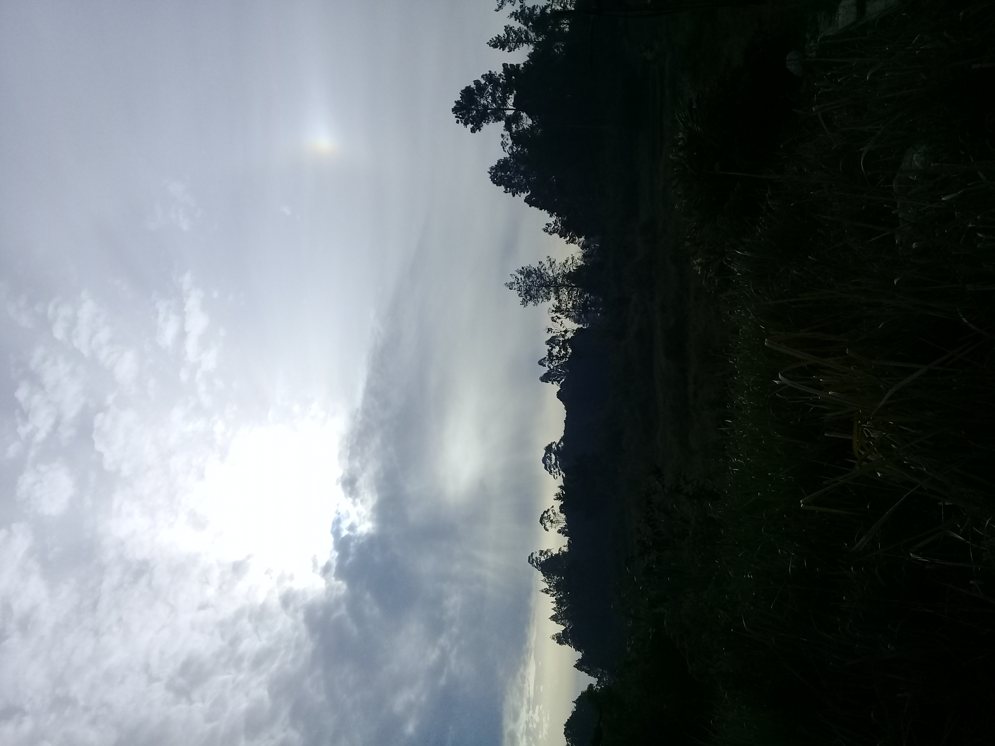 20180830_073656.jpg