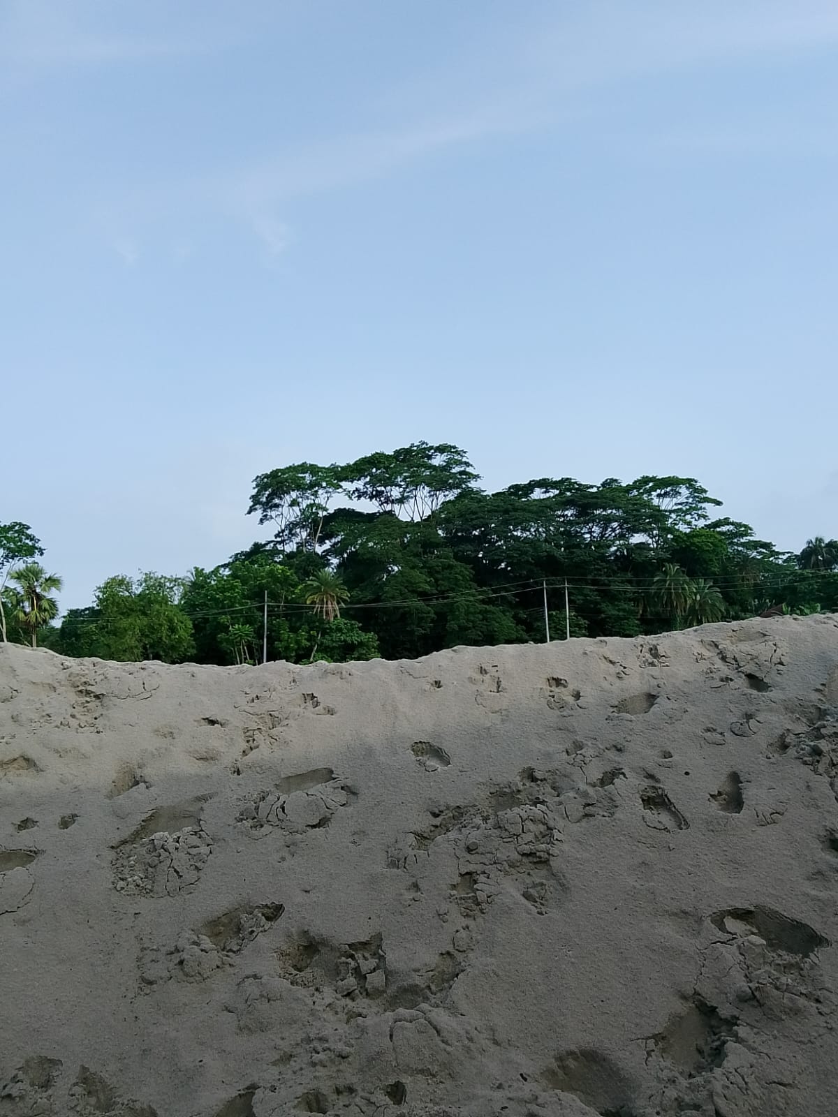 45536.jpg