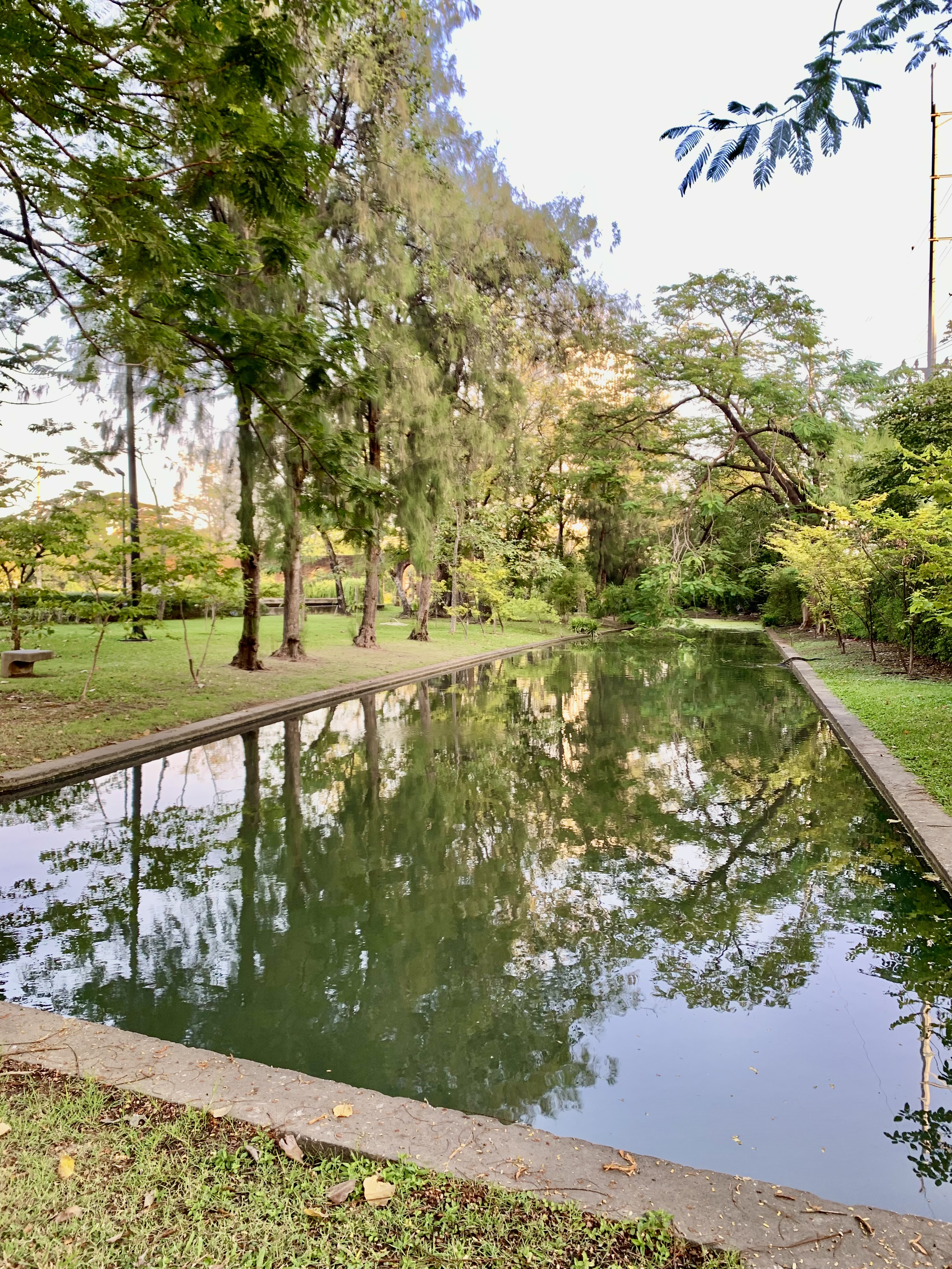 Chatuchak Park116.jpg
