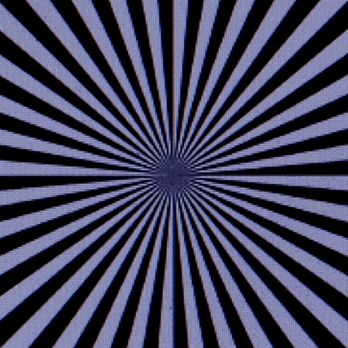 07 Zeiss-16-DSCF6837-fs_cr-c.jpg