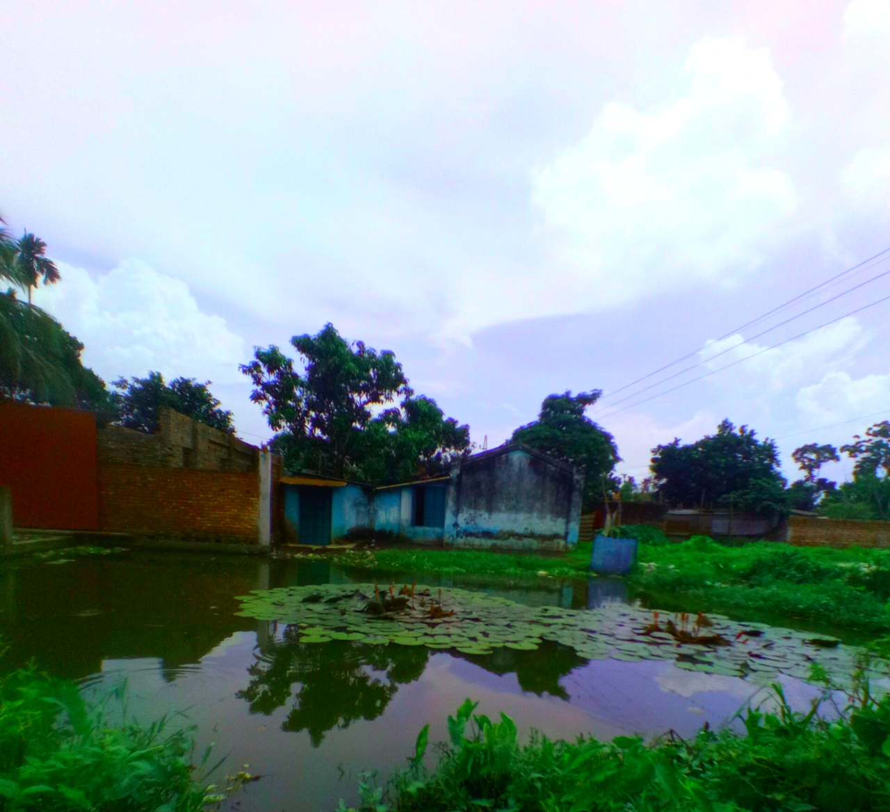 20210927_175330.jpg