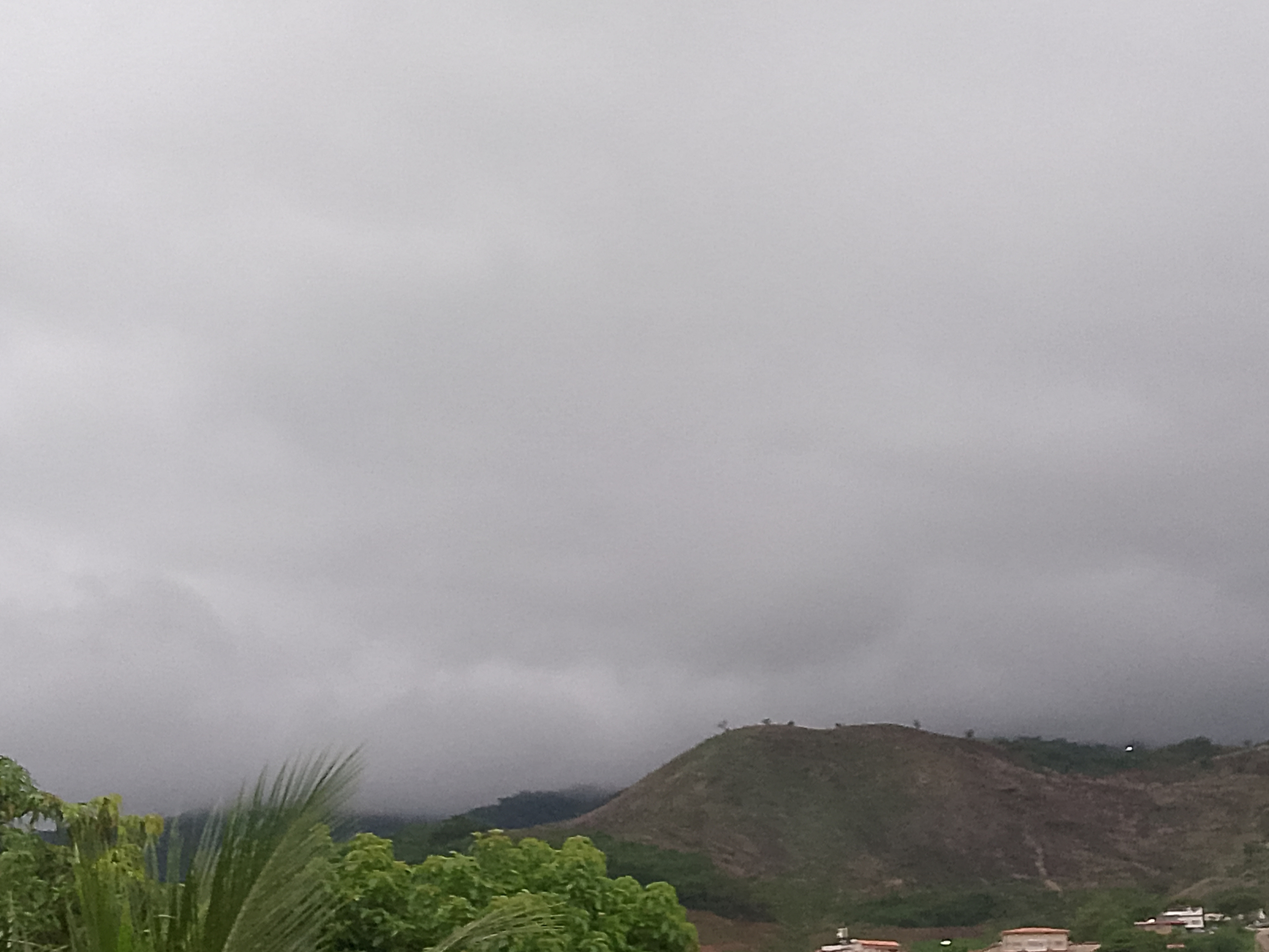 FotoGrid_20260605_174916487.jpg
