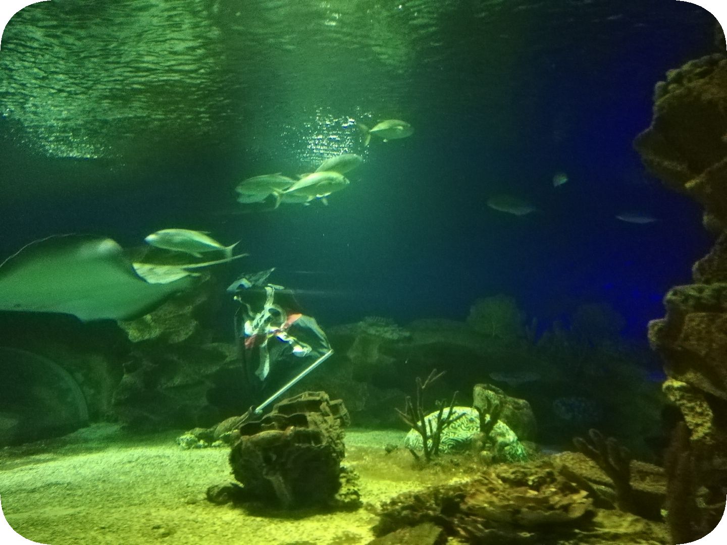IMG_20190620_183359.jpg