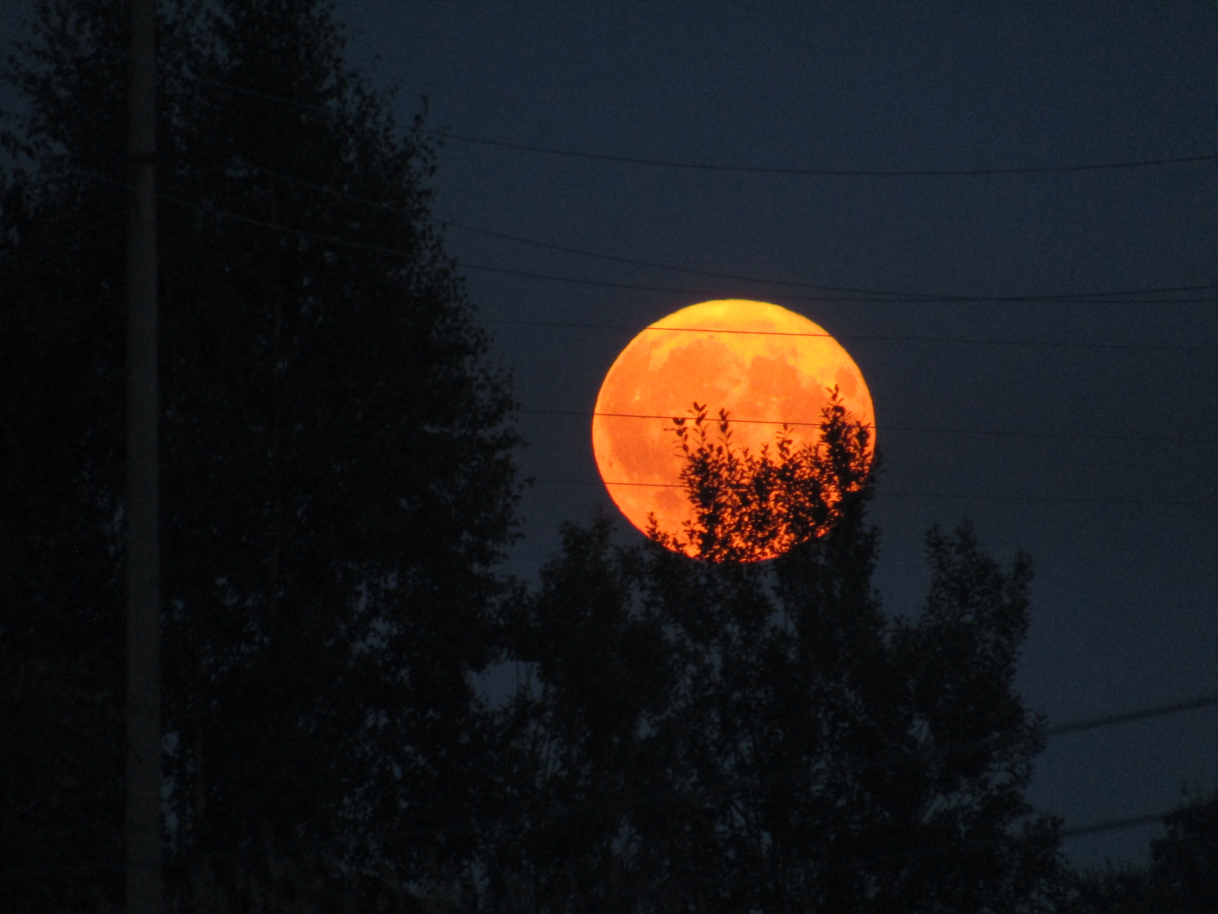Луна Восход Луны